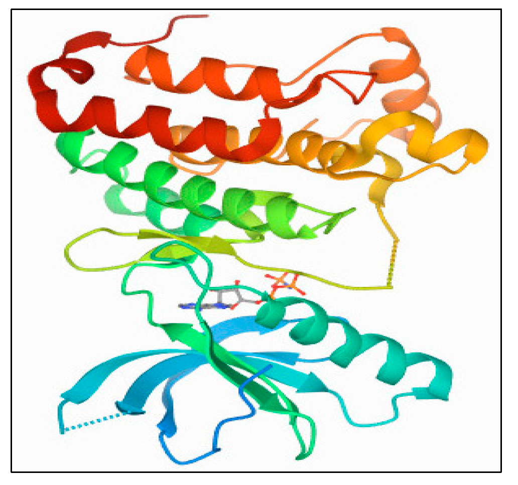 Plants 11 01295 g011