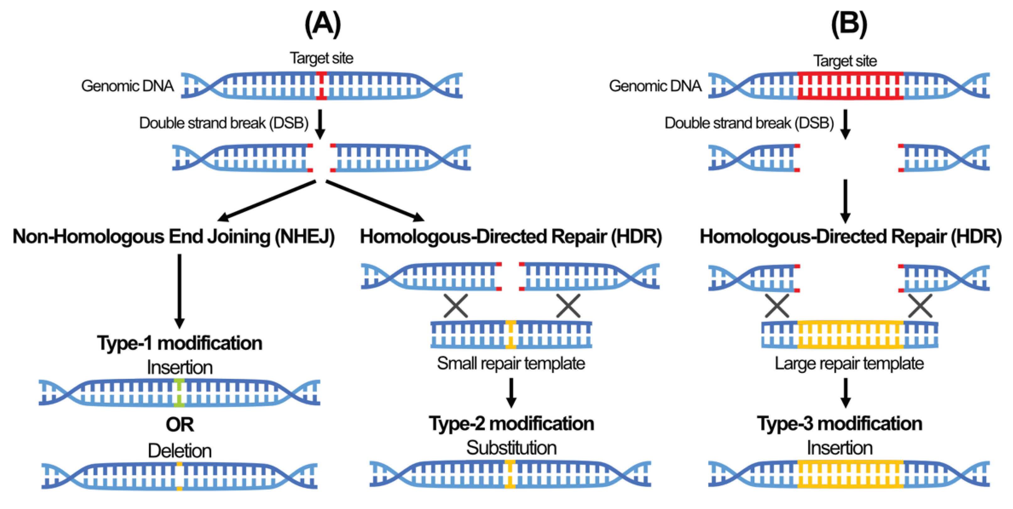 Plants 11 01297 g004