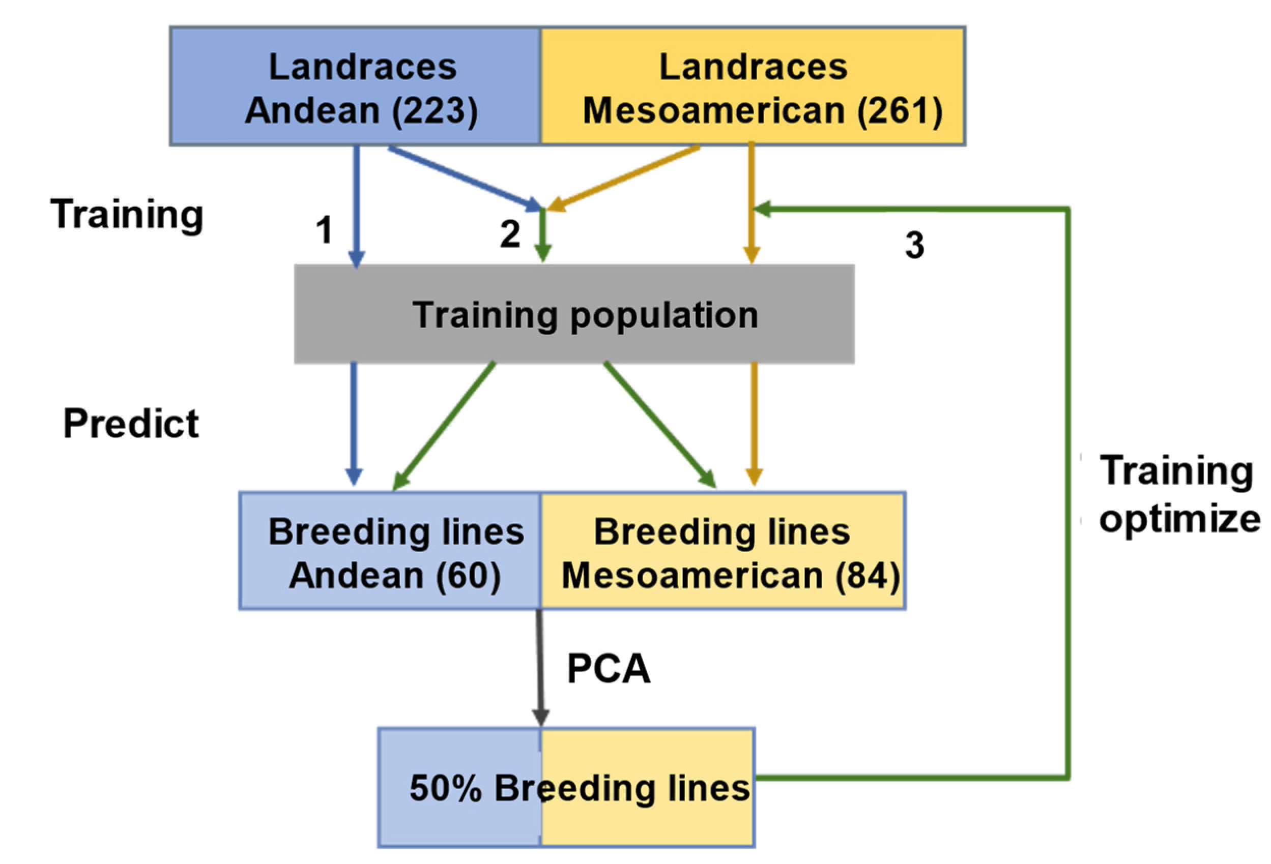 Plants 11 01298 g001