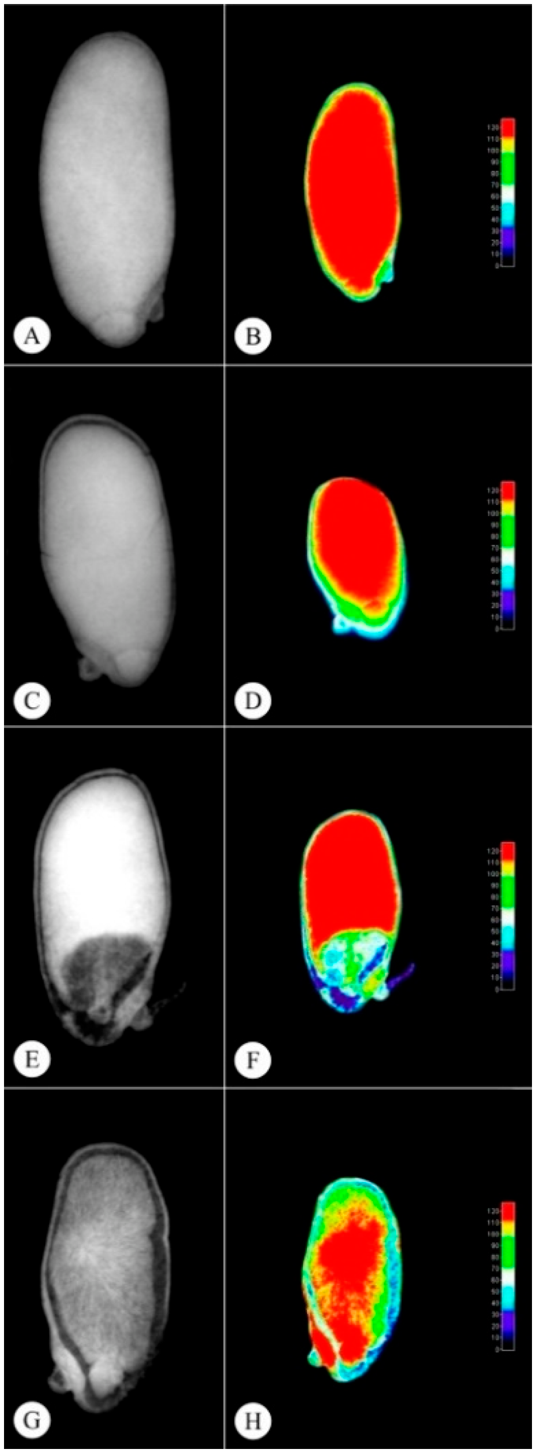 Plants 11 01302 g002 Plants 11 01302 g002