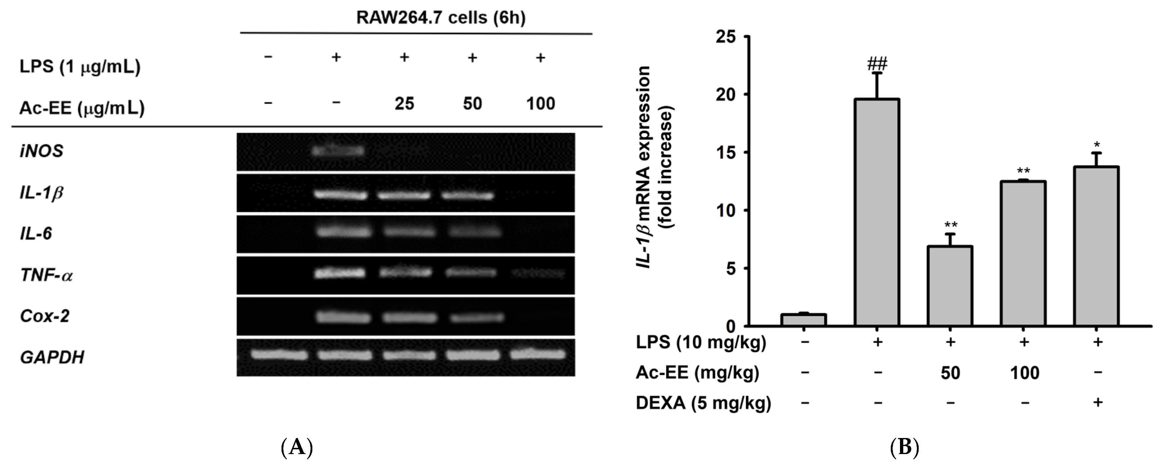 Plants 11 01306 g003a