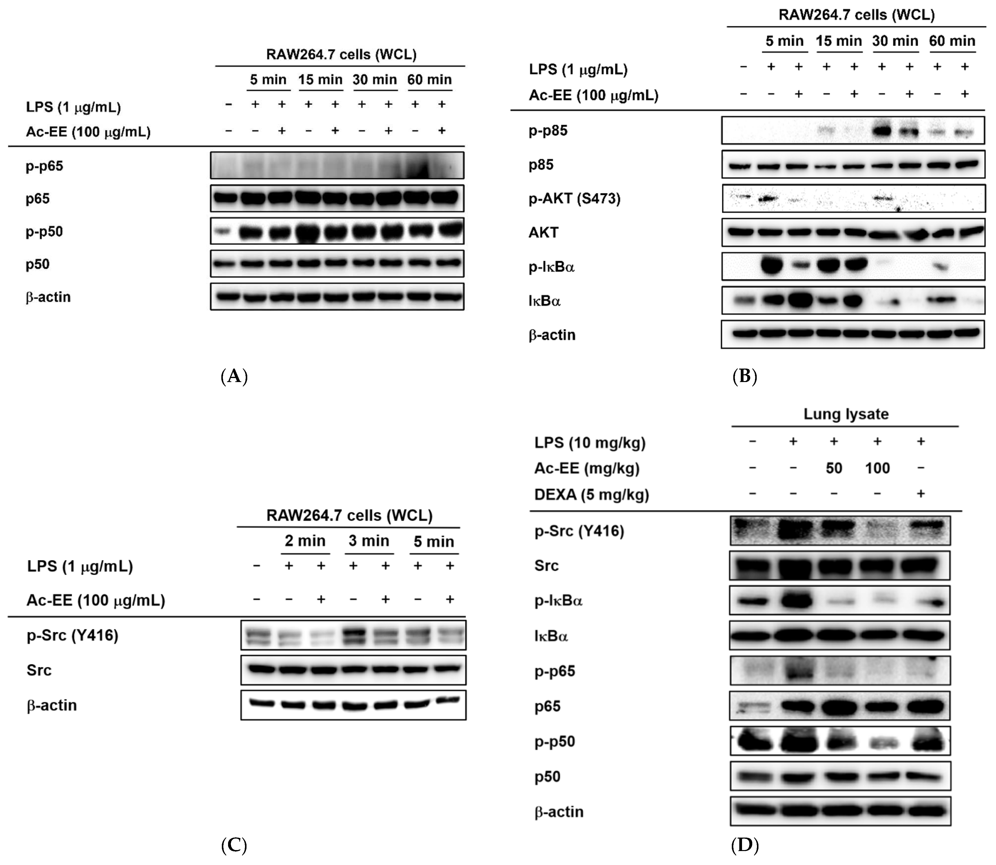 Plants 11 01306 g004a