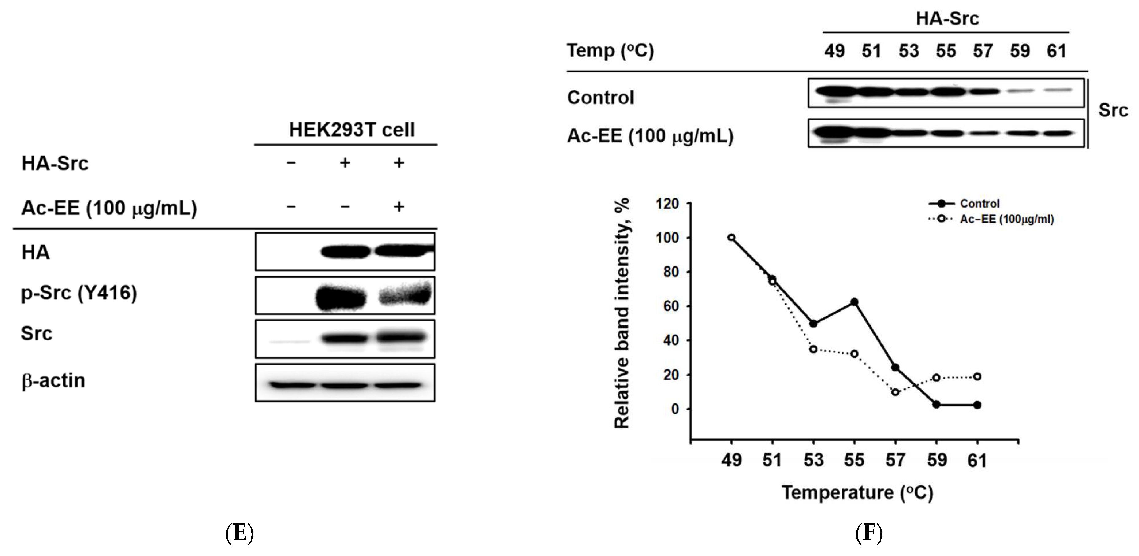 Plants 11 01306 g004b