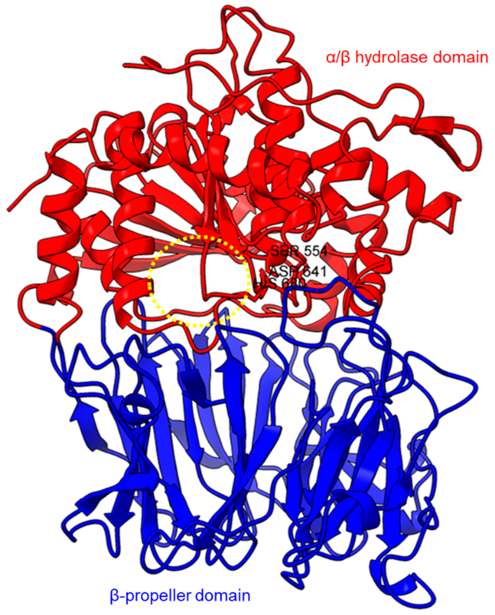 Plants 11 01330 g001 Plants 11 01330 g001