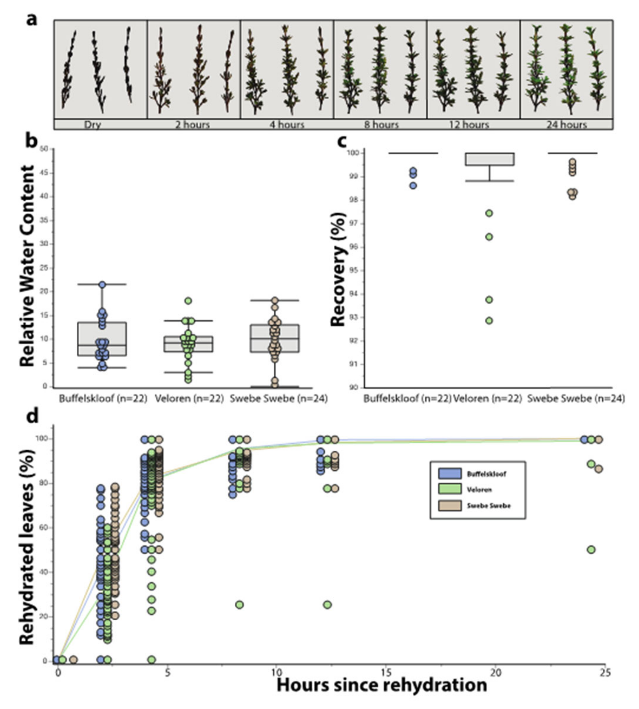 Plants 11 01332 g004