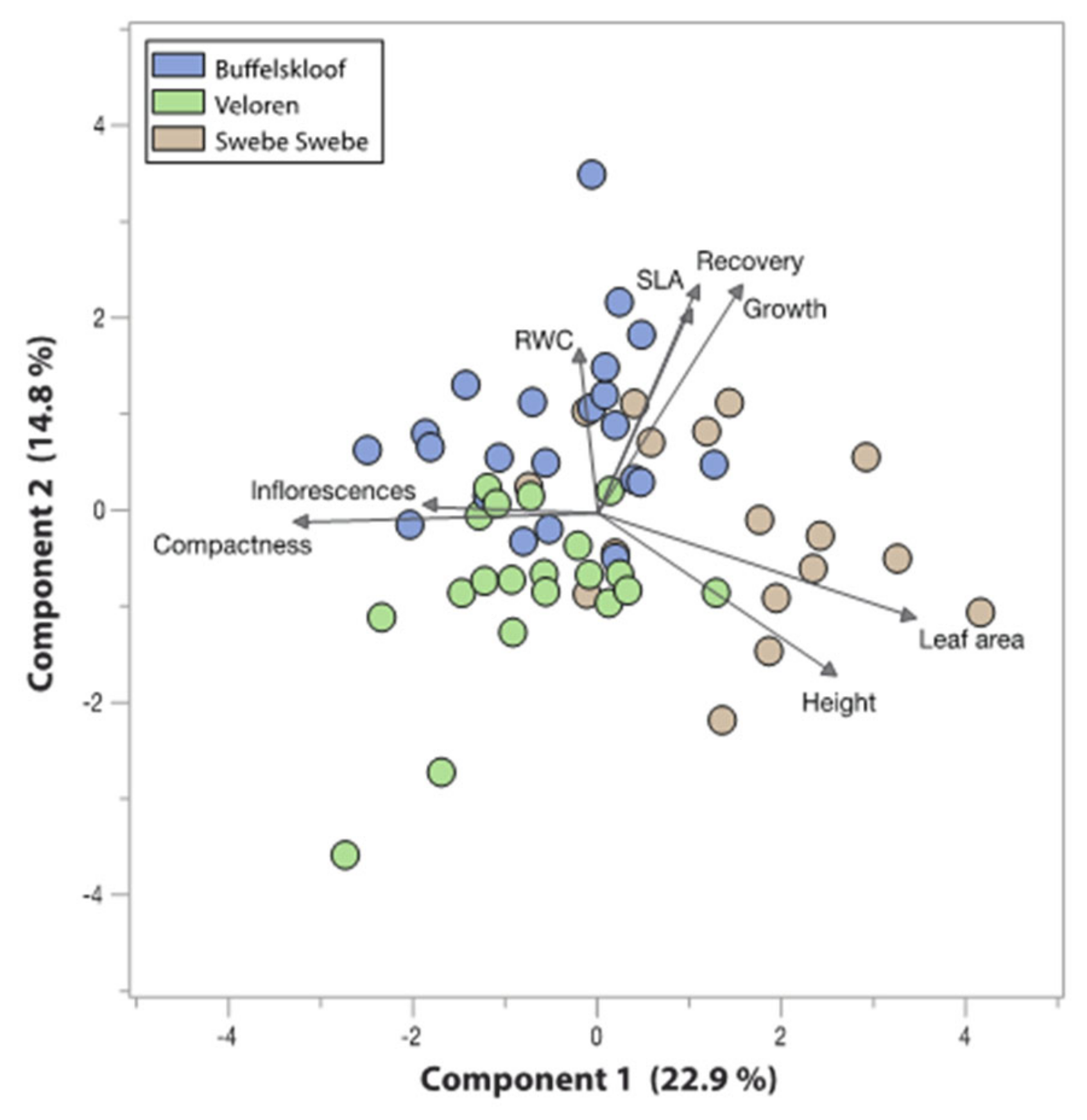 Plants 11 01332 g006