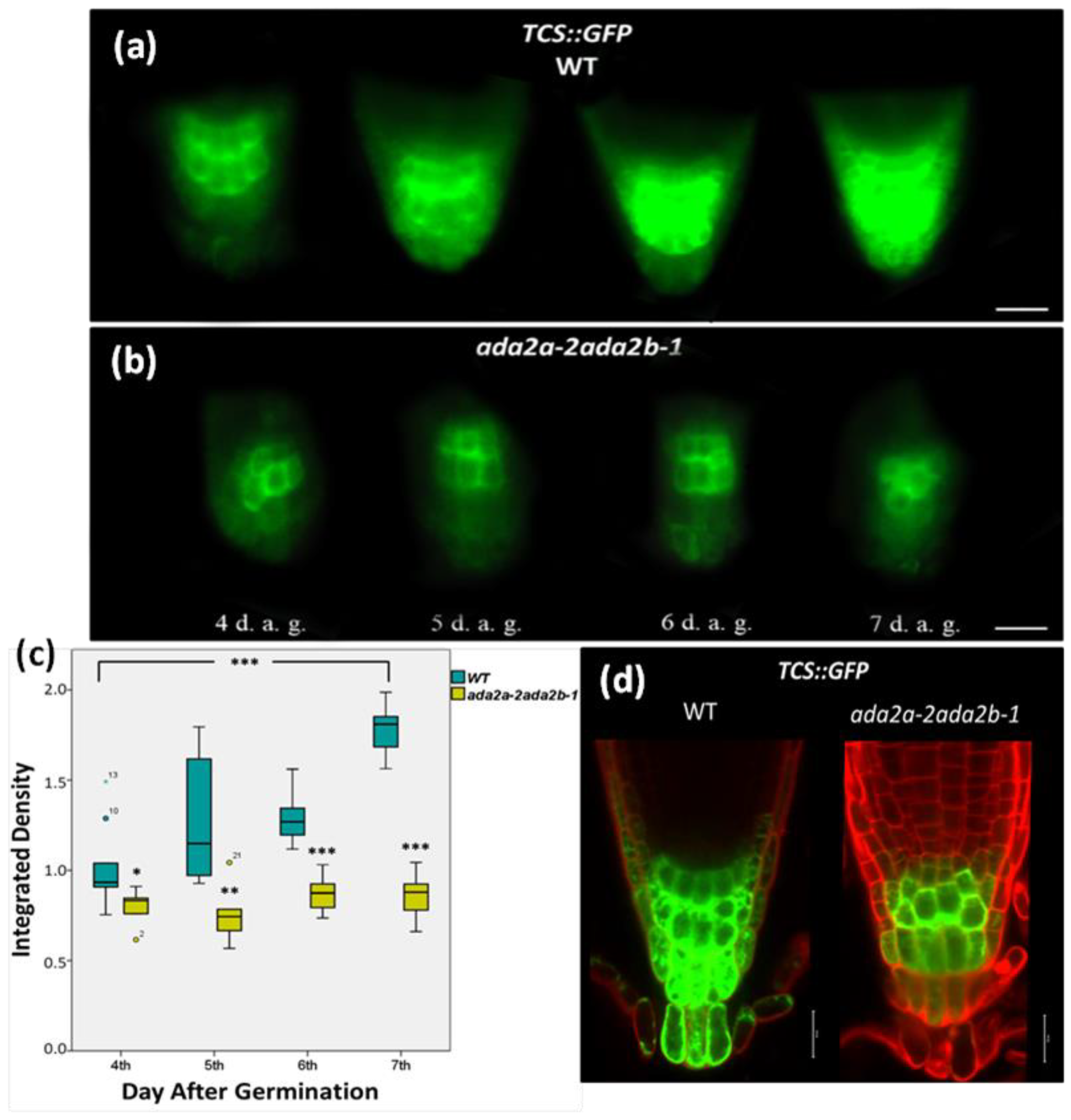 Plants 11 01335 g002