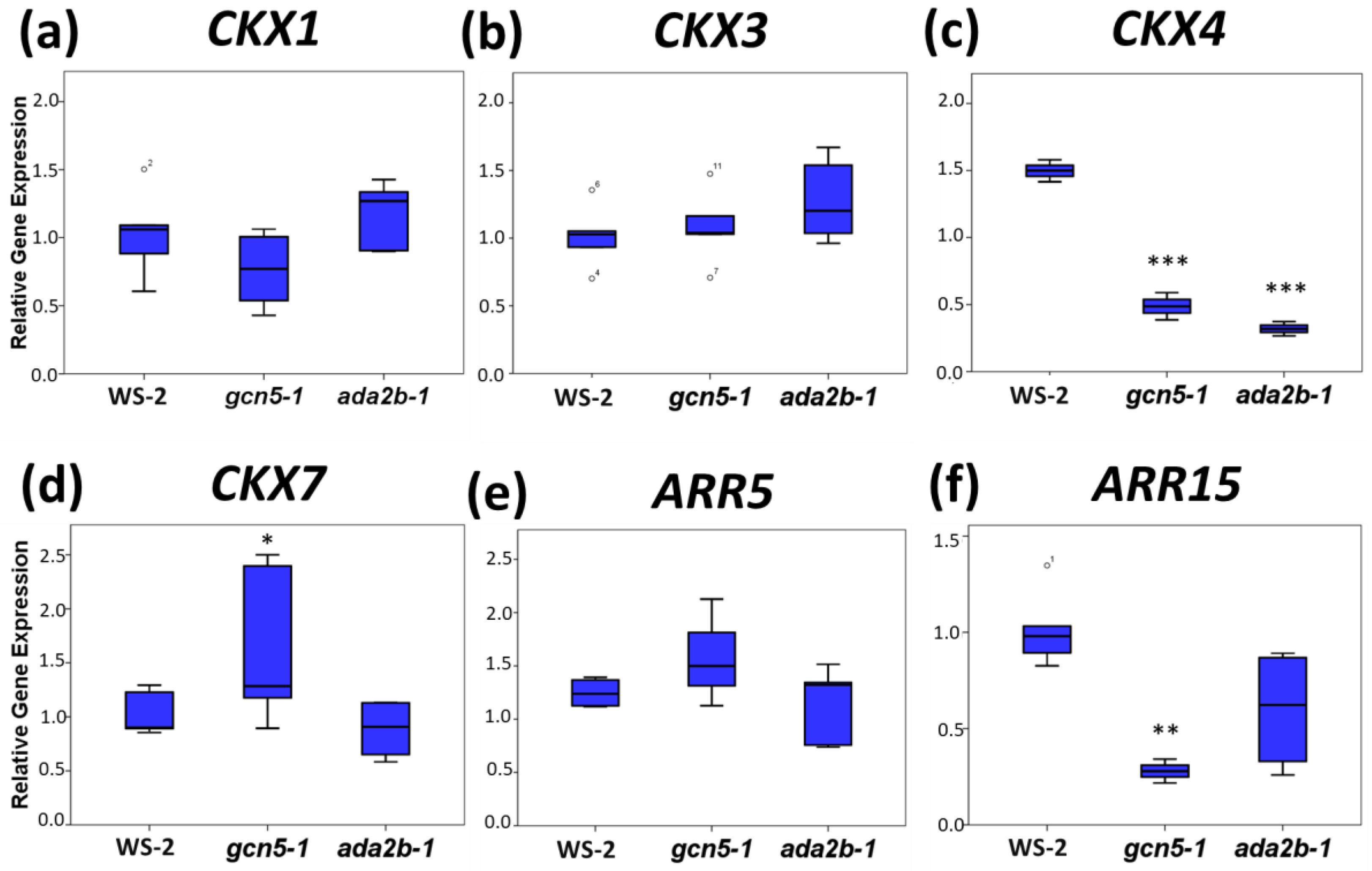 Plants 11 01335 g004