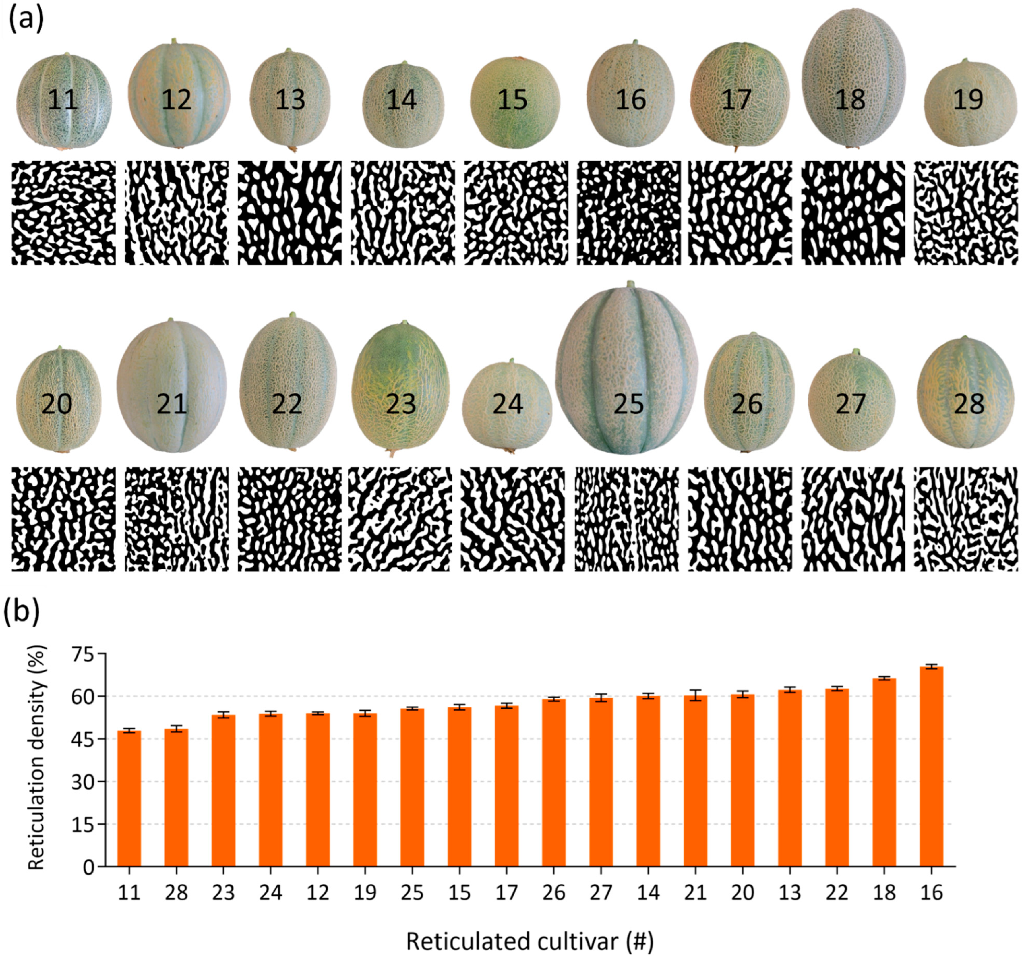 Plants 11 01336 g003 550