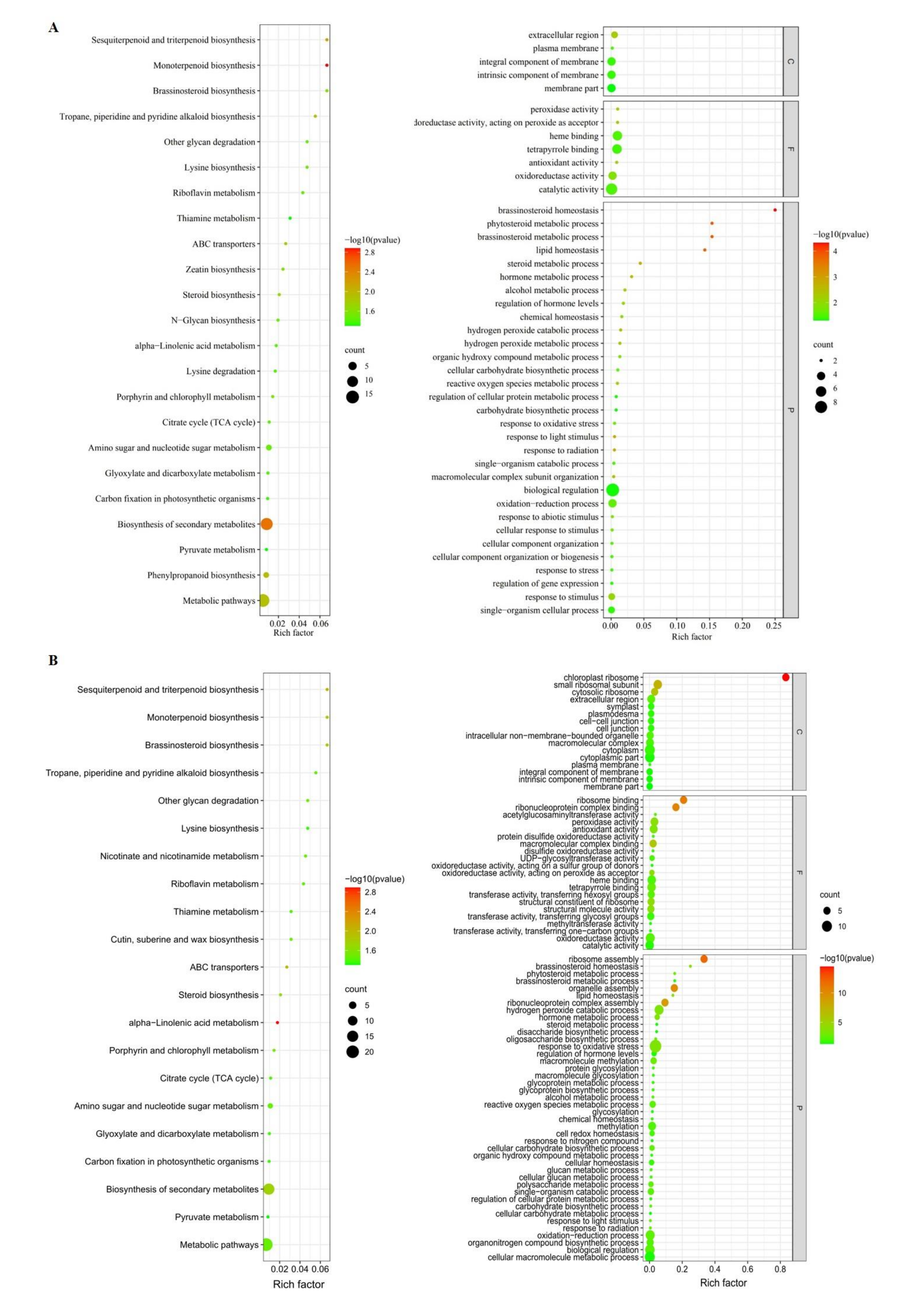 Plants 11 01339 g004 550
