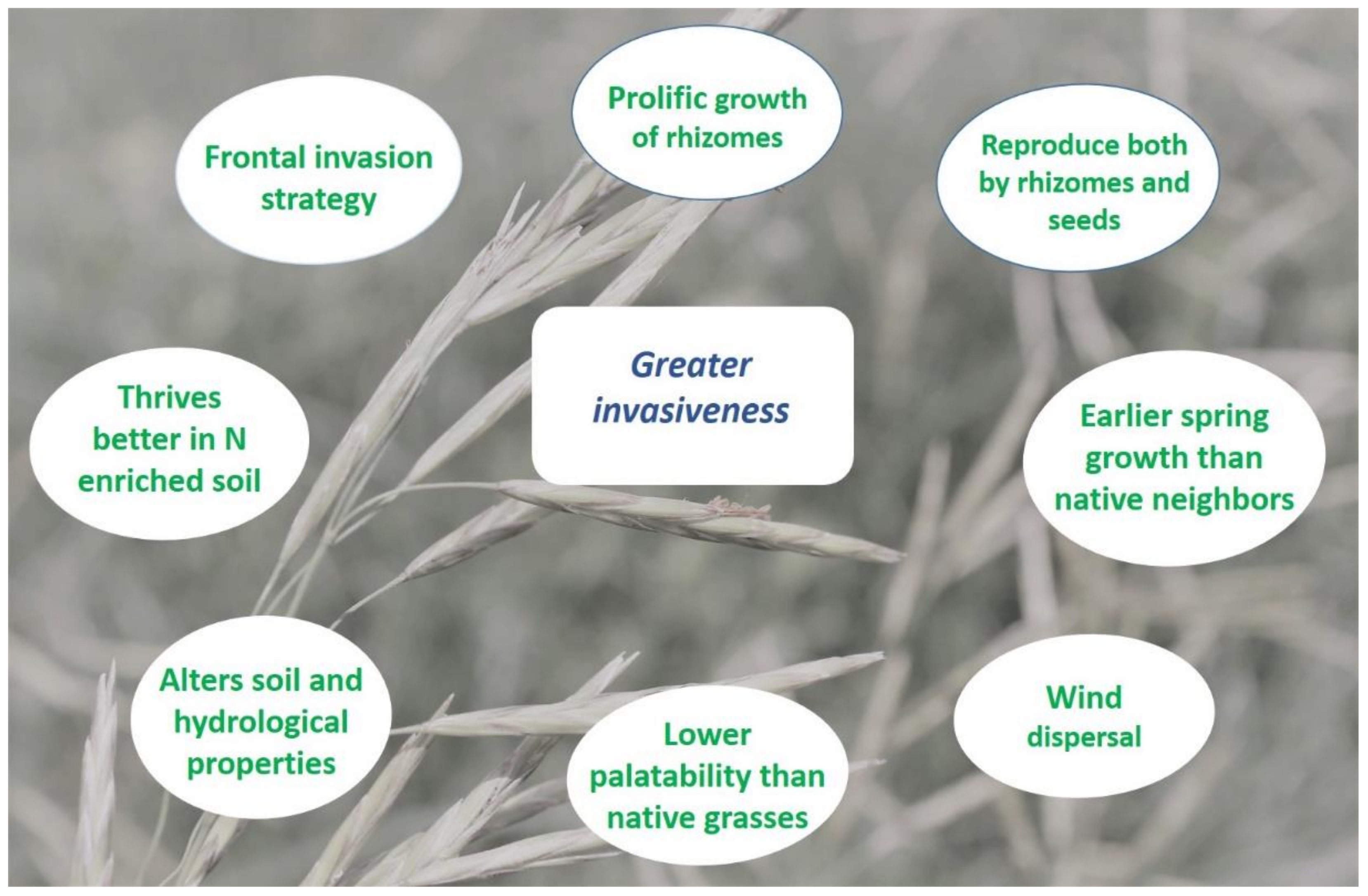 Plants 11 01340 g001 Plants 11 01340 g001