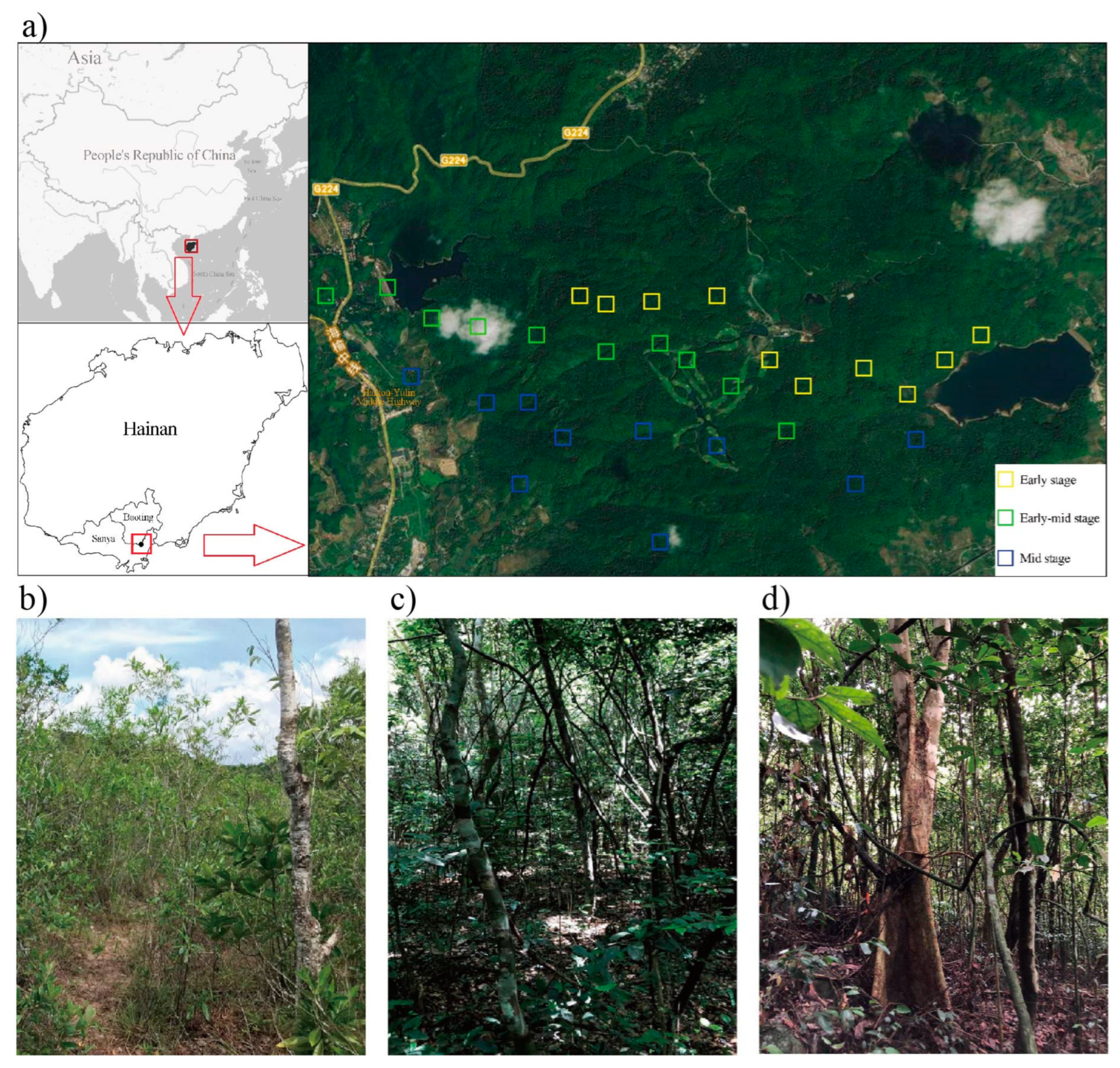 Plants 11 01344 g008