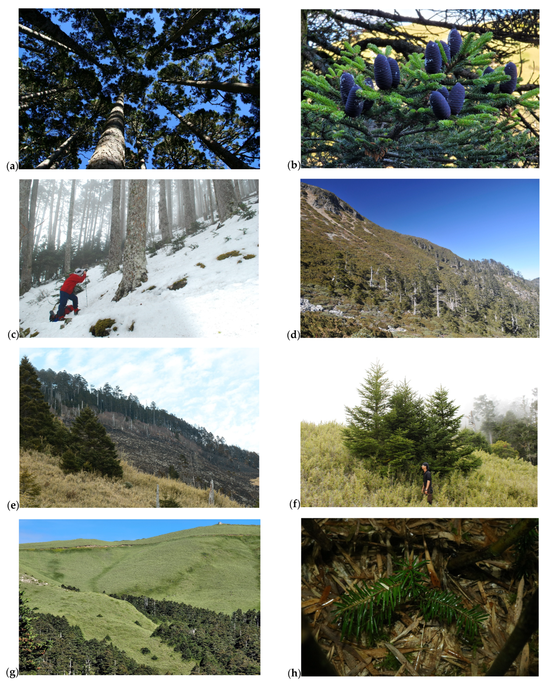 Plants 11 01346 g005