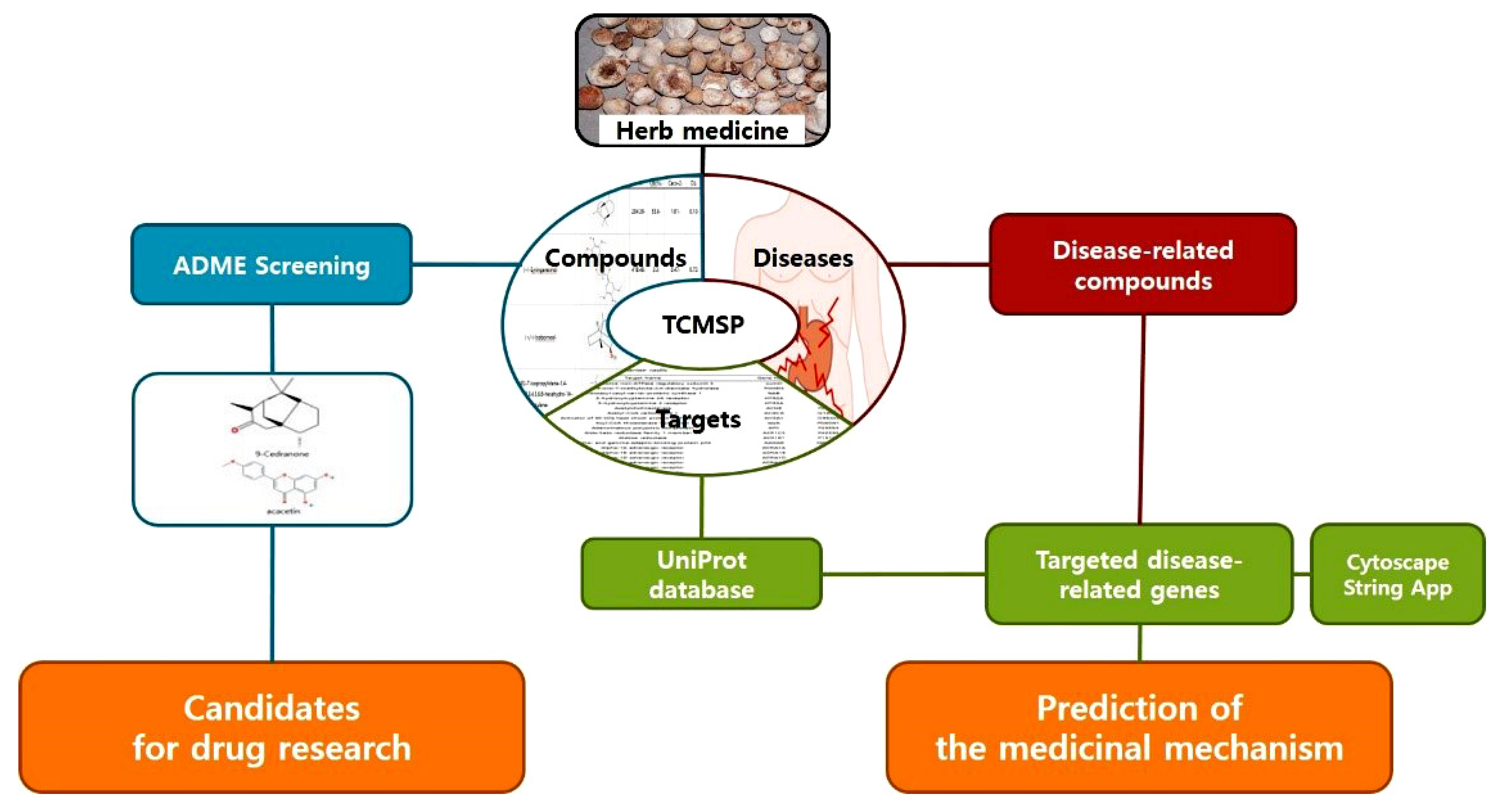 Plants 11 01348 g001