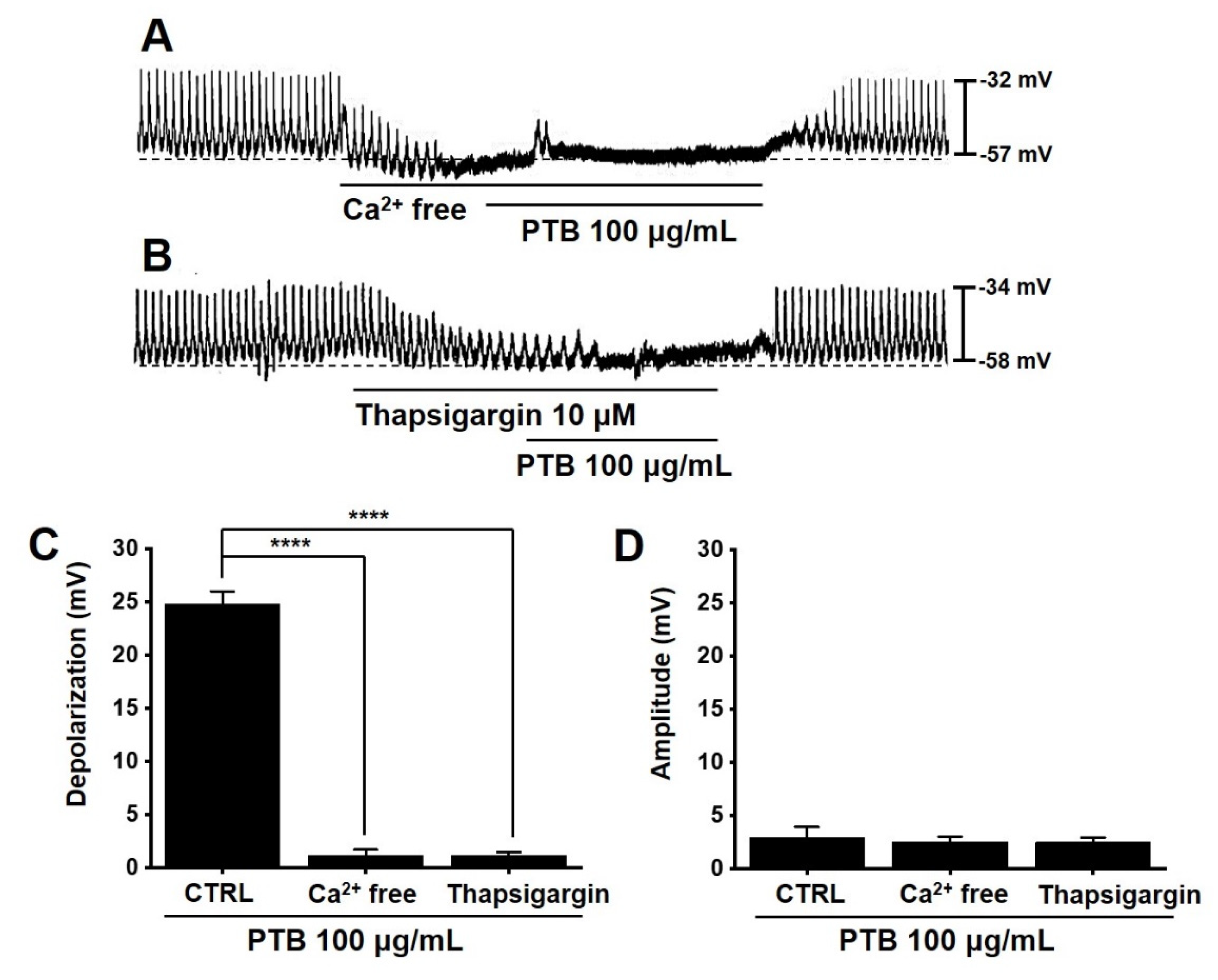 Plants 11 01348 g007