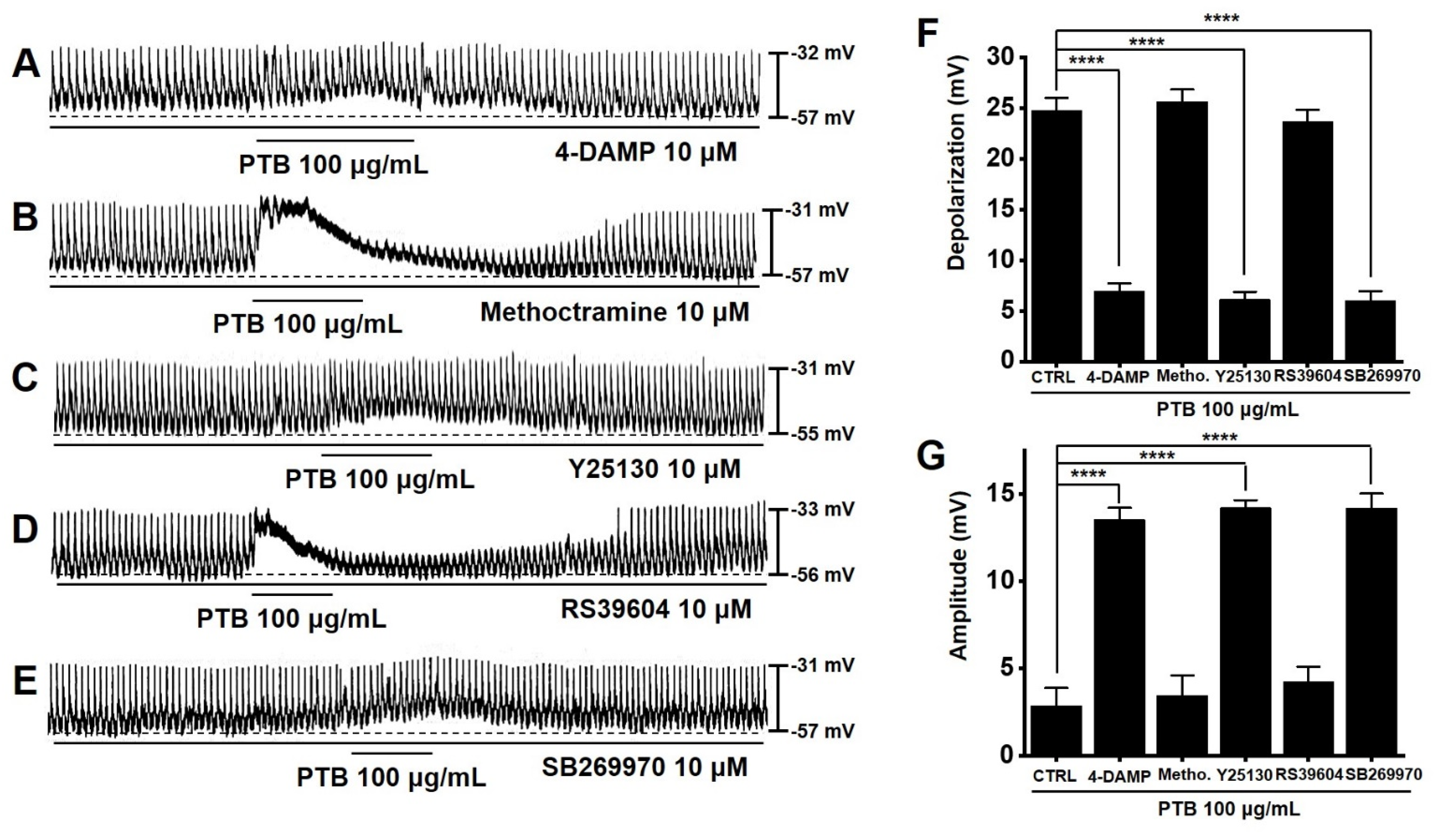 Plants 11 01348 g008
