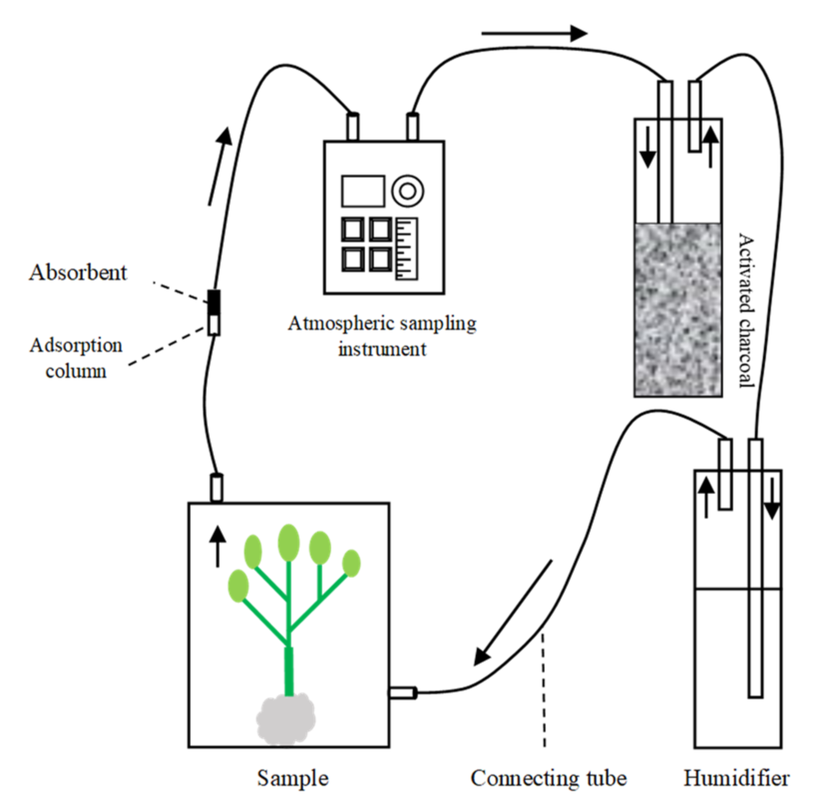 Plants 11 01350 g010