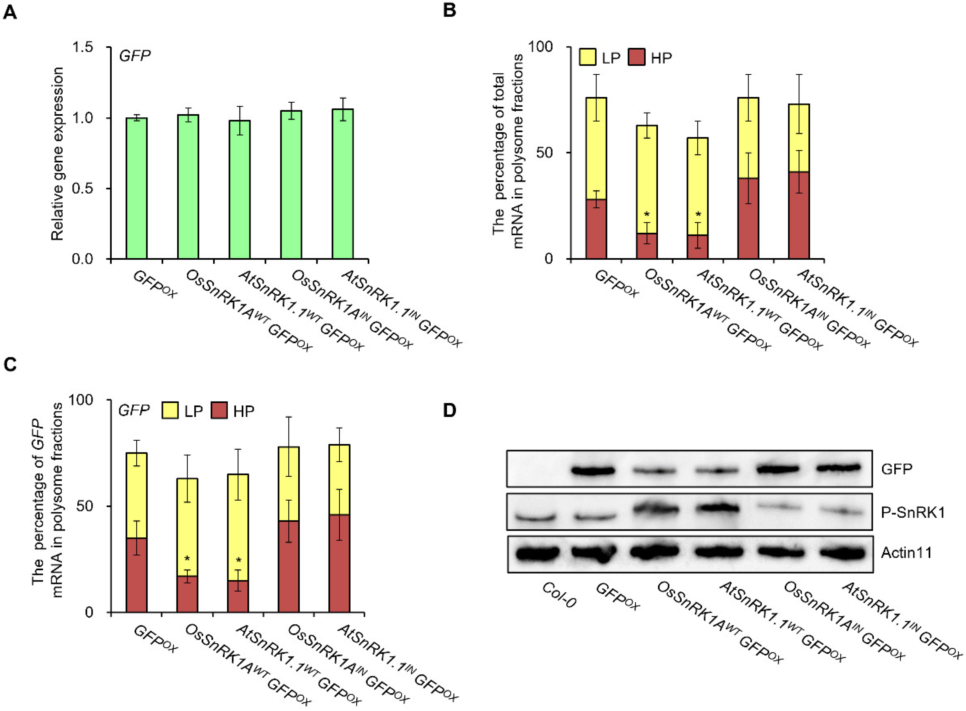 Plants 11 01359 g002