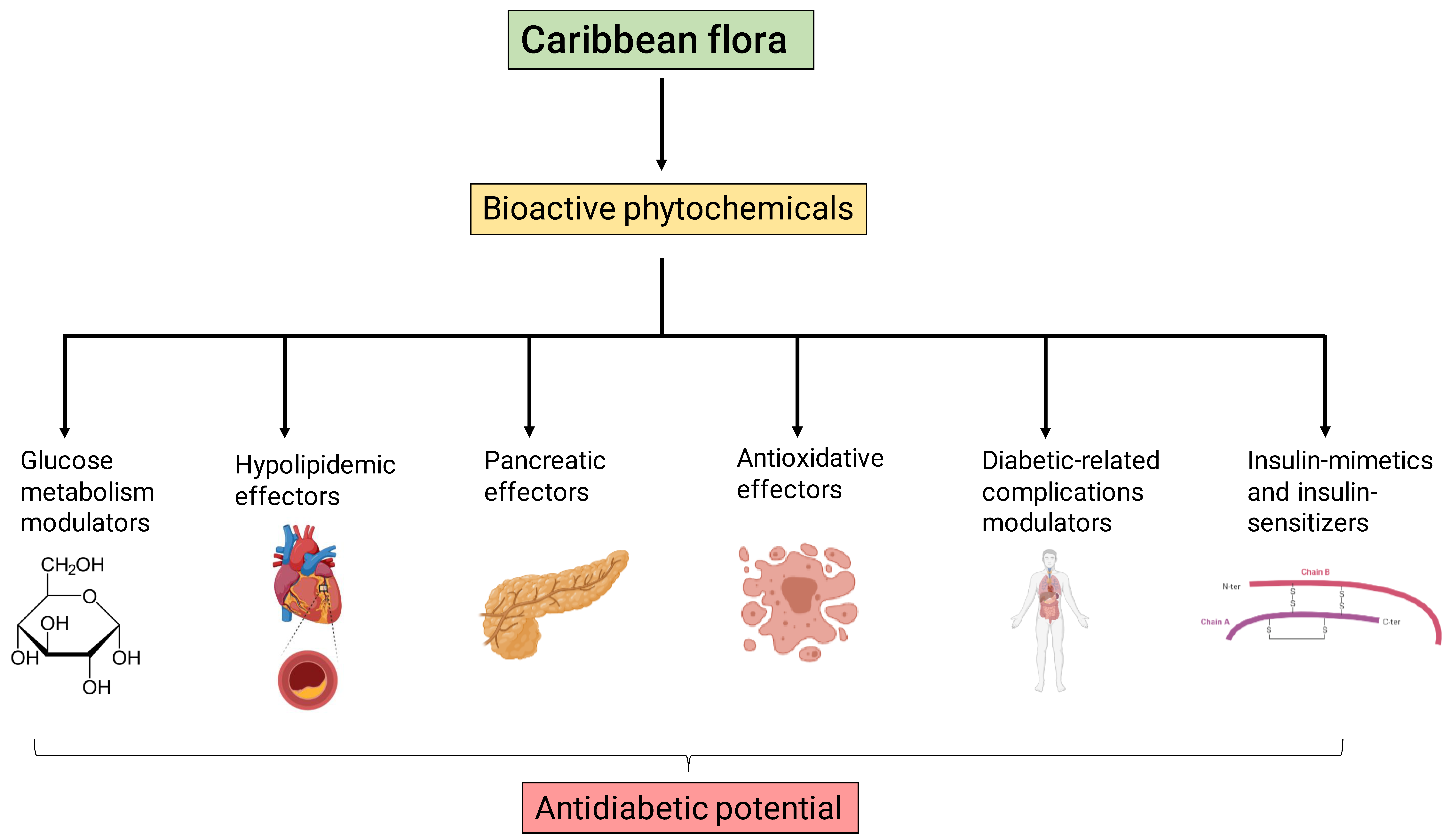 SciELO - Brasil - The potential antidiabetic properties of Liang (<i>Gnetum  gnemon</i> var.<i>tenerum</i>) leaves The potential antidiabetic properties  of Liang (<i>Gnetum gnemon</i> var.<i>tenerum</i>) leaves