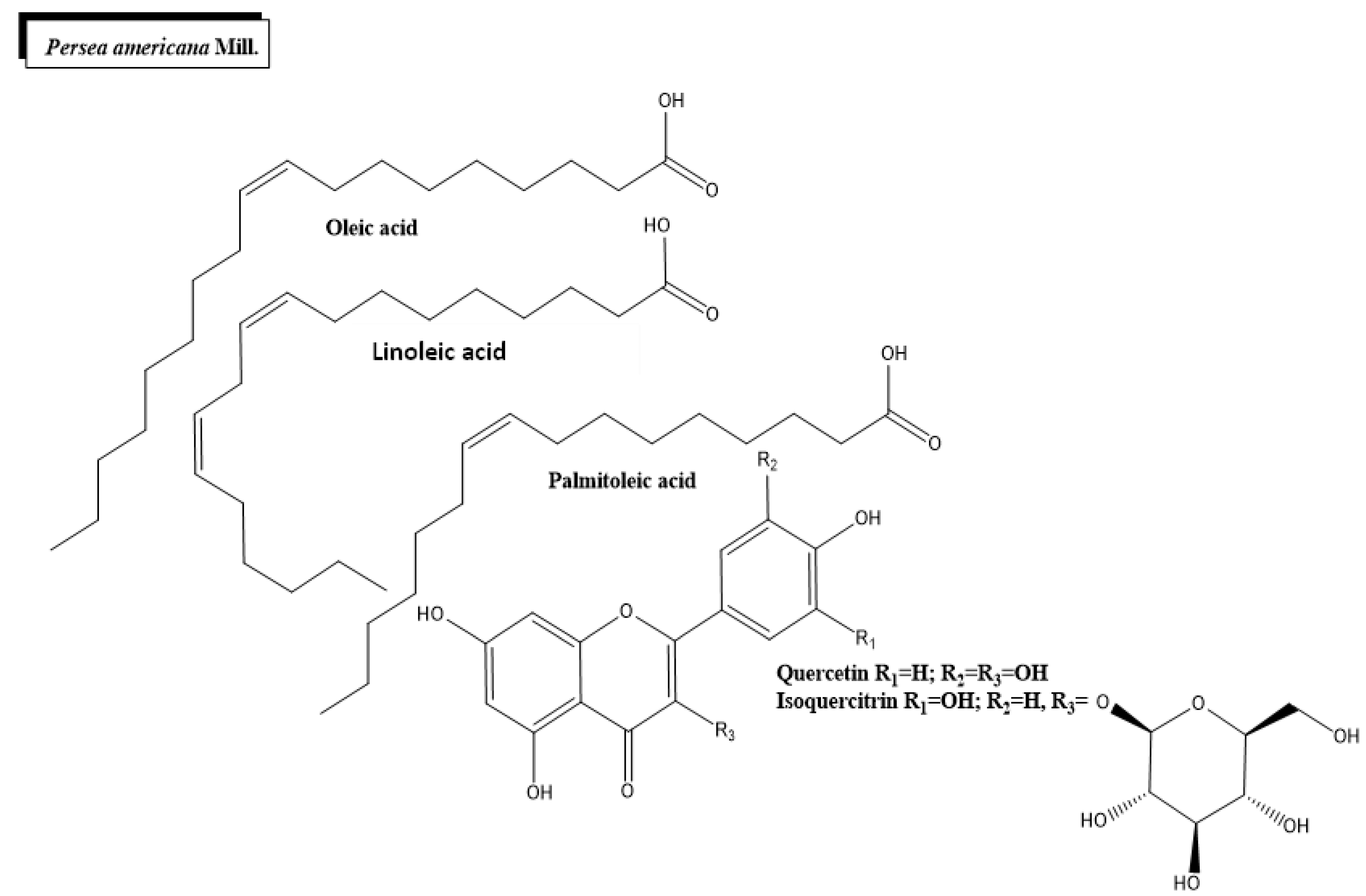 SciELO - Brasil - The potential antidiabetic properties of Liang (<i>Gnetum  gnemon</i> var.<i>tenerum</i>) leaves The potential antidiabetic properties  of Liang (<i>Gnetum gnemon</i> var.<i>tenerum</i>) leaves