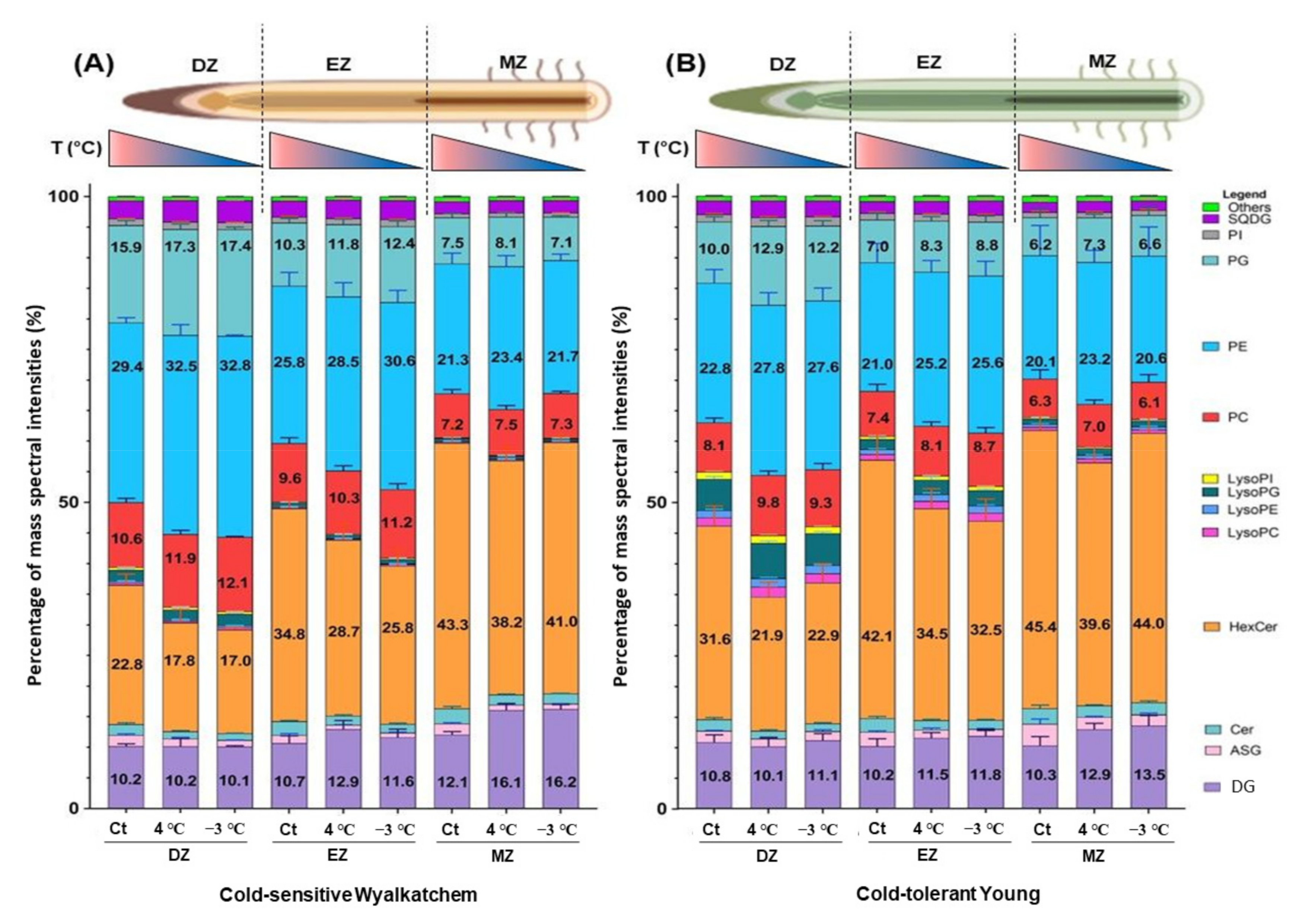 Plants 11 01364 g002 Plants 11 01364 g002