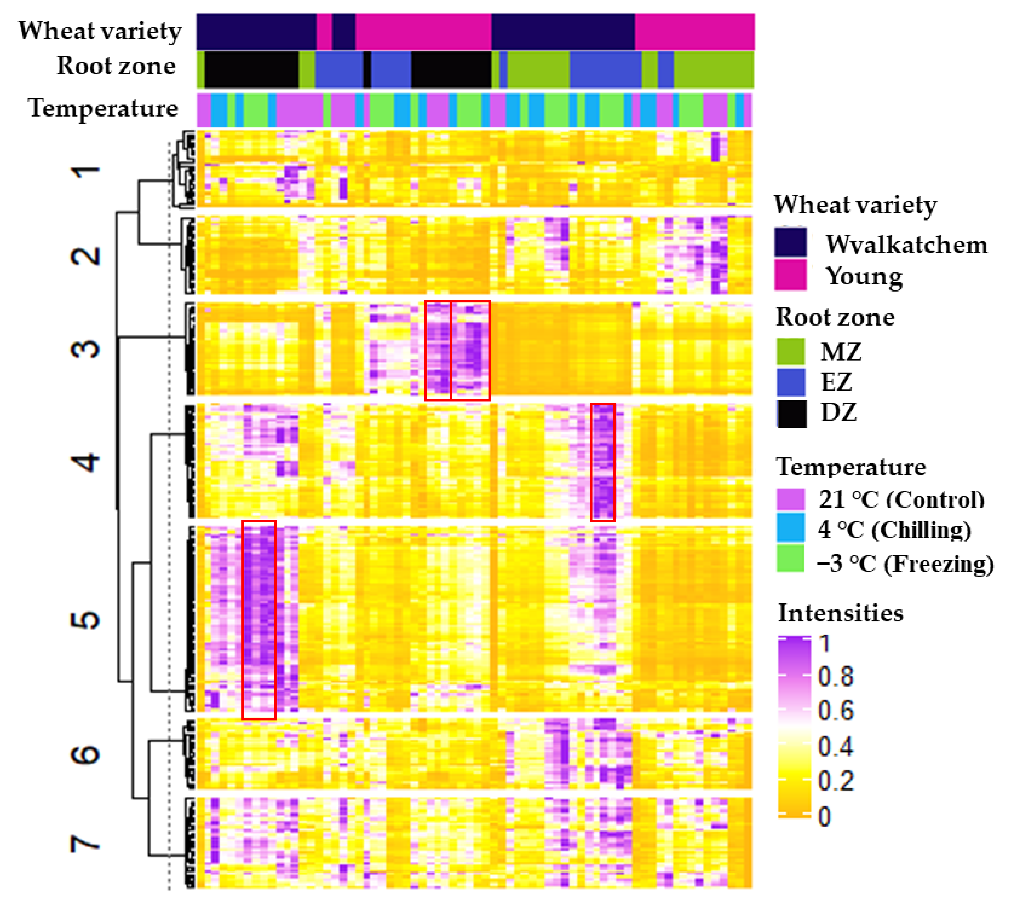 Plants 11 01364 g004 Plants 11 01364 g004