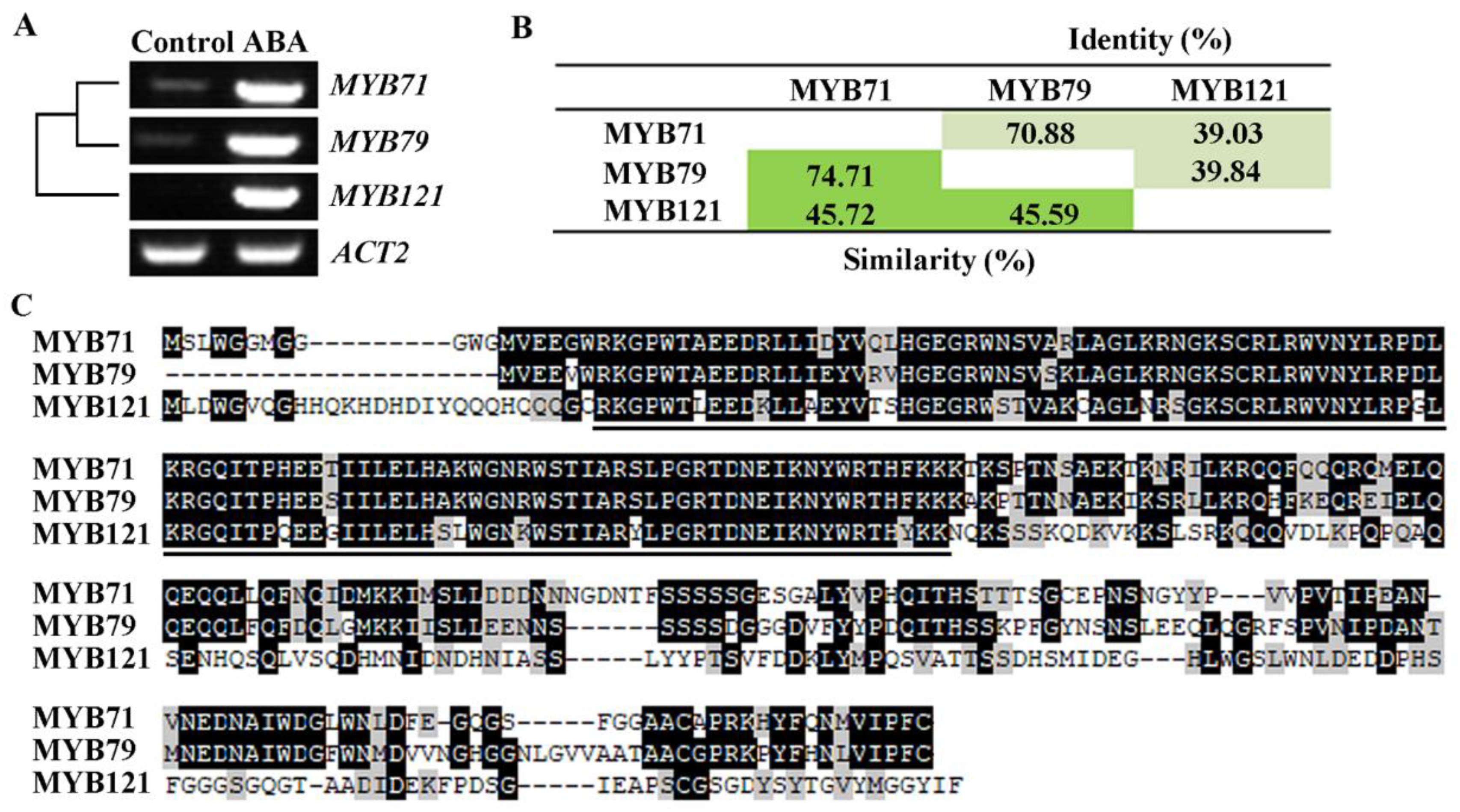Plants 11 01369 g001