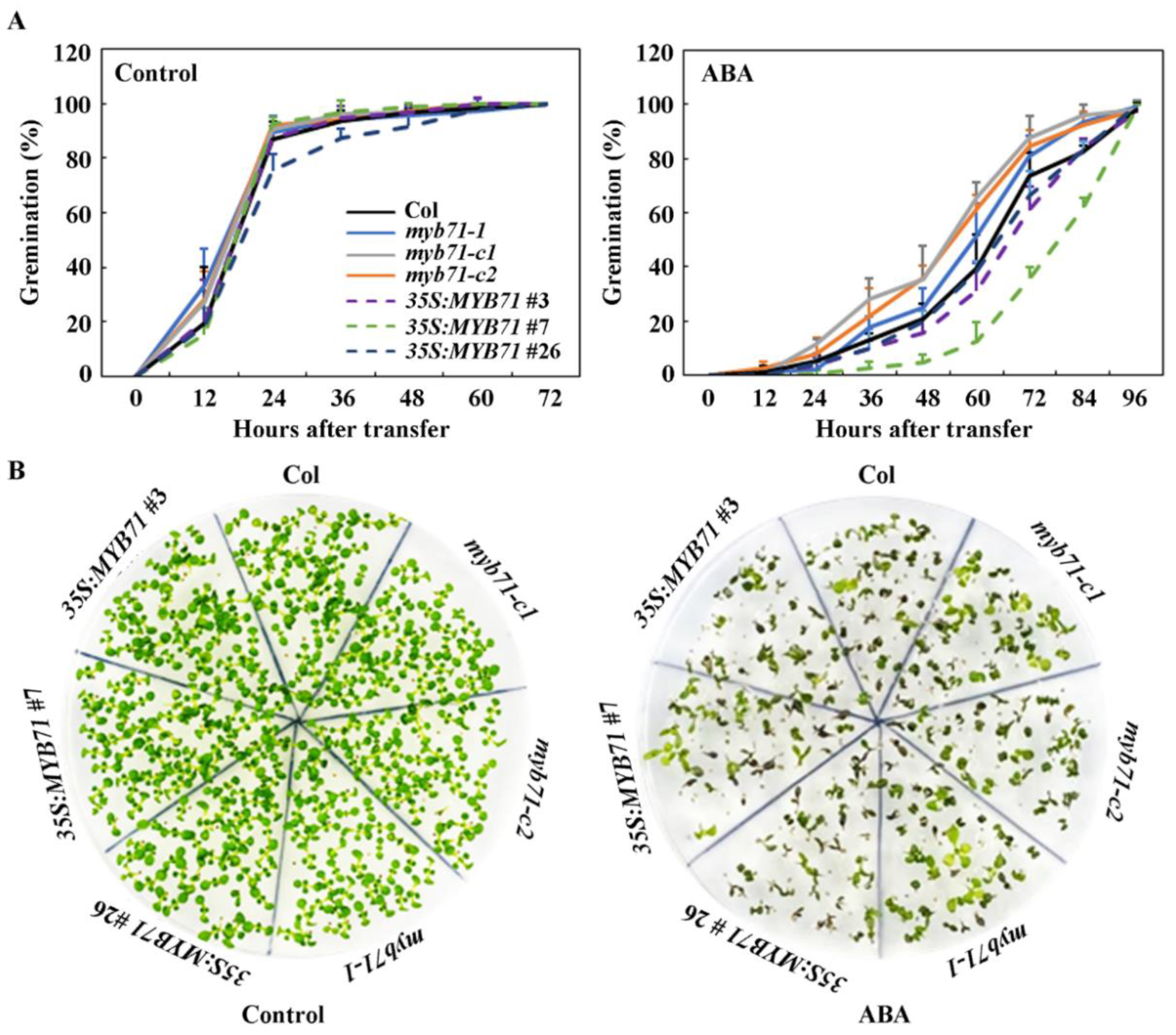 Plants 11 01369 g005
