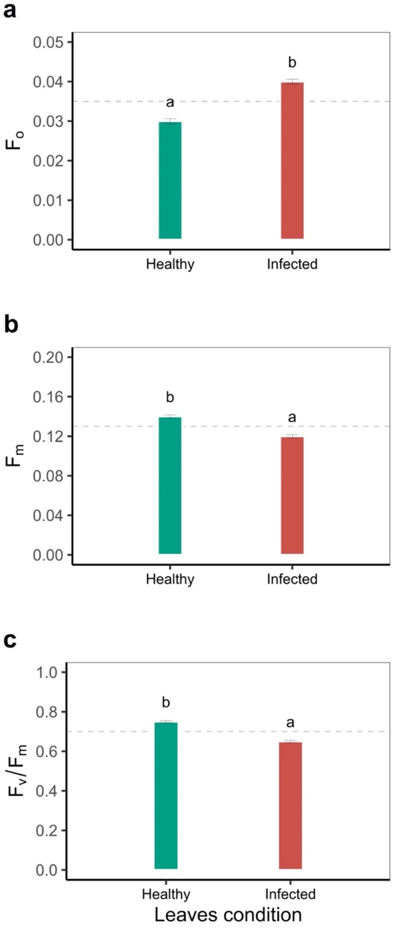 Plants 11 01371 g001 Plants 11 01371 g001