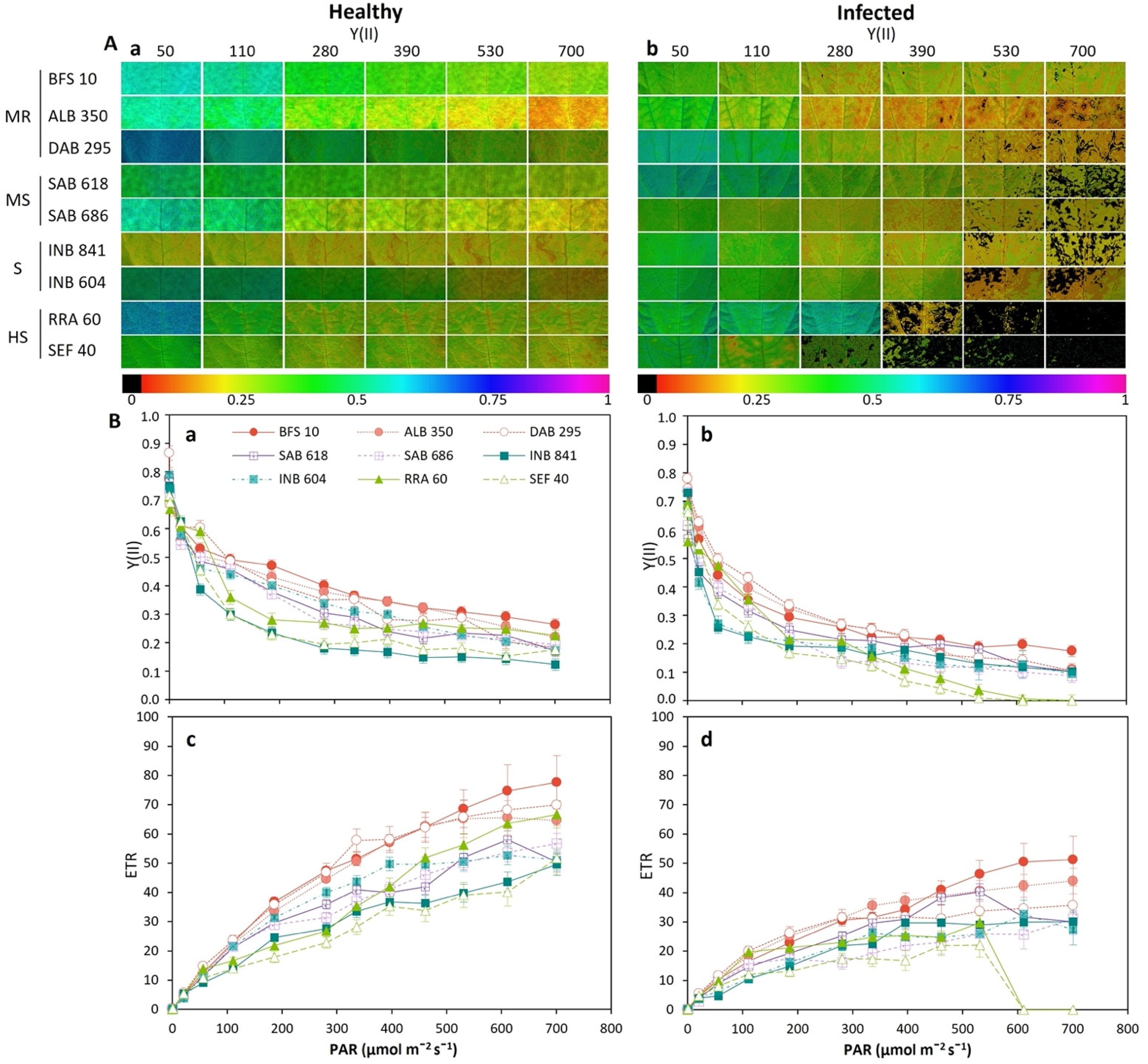 Plants 11 01371 g007 Plants 11 01371 g007