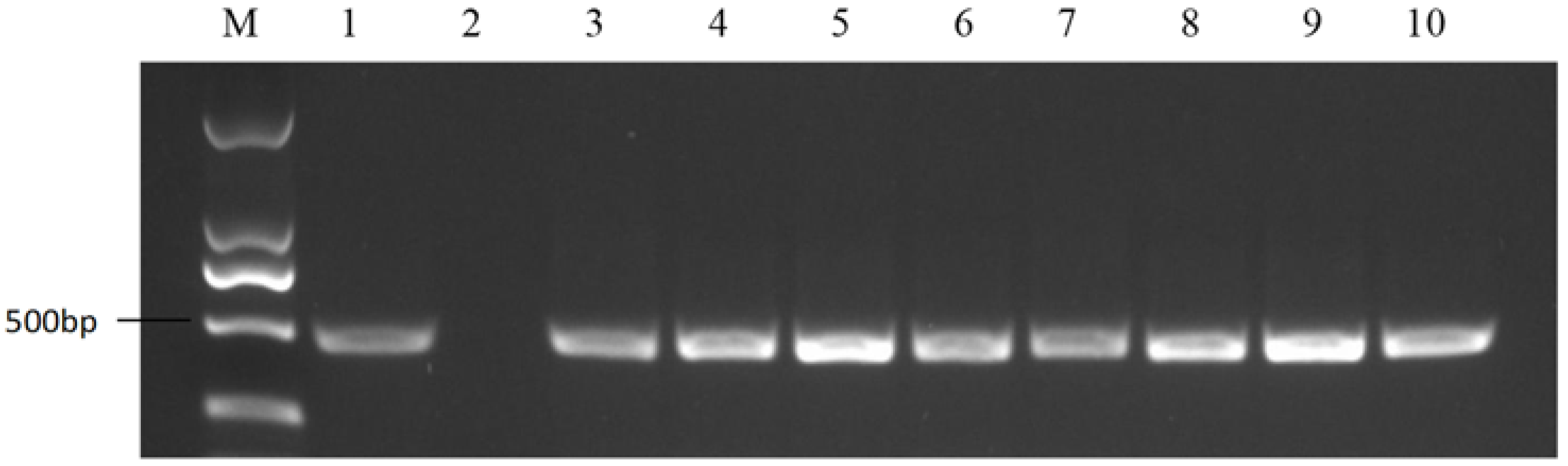 Plants 11 01372 g002