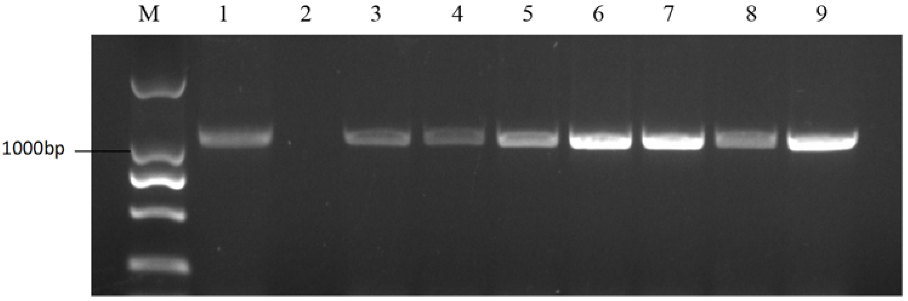 Plants 11 01372 g003