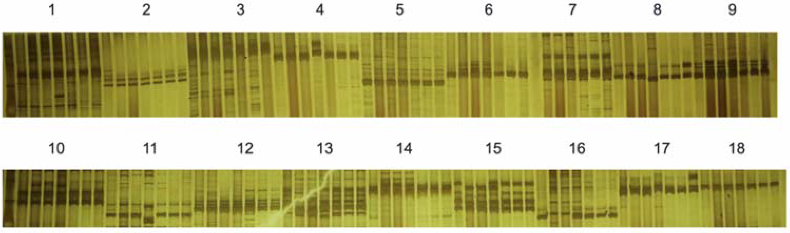 Plants 11 01372 g008