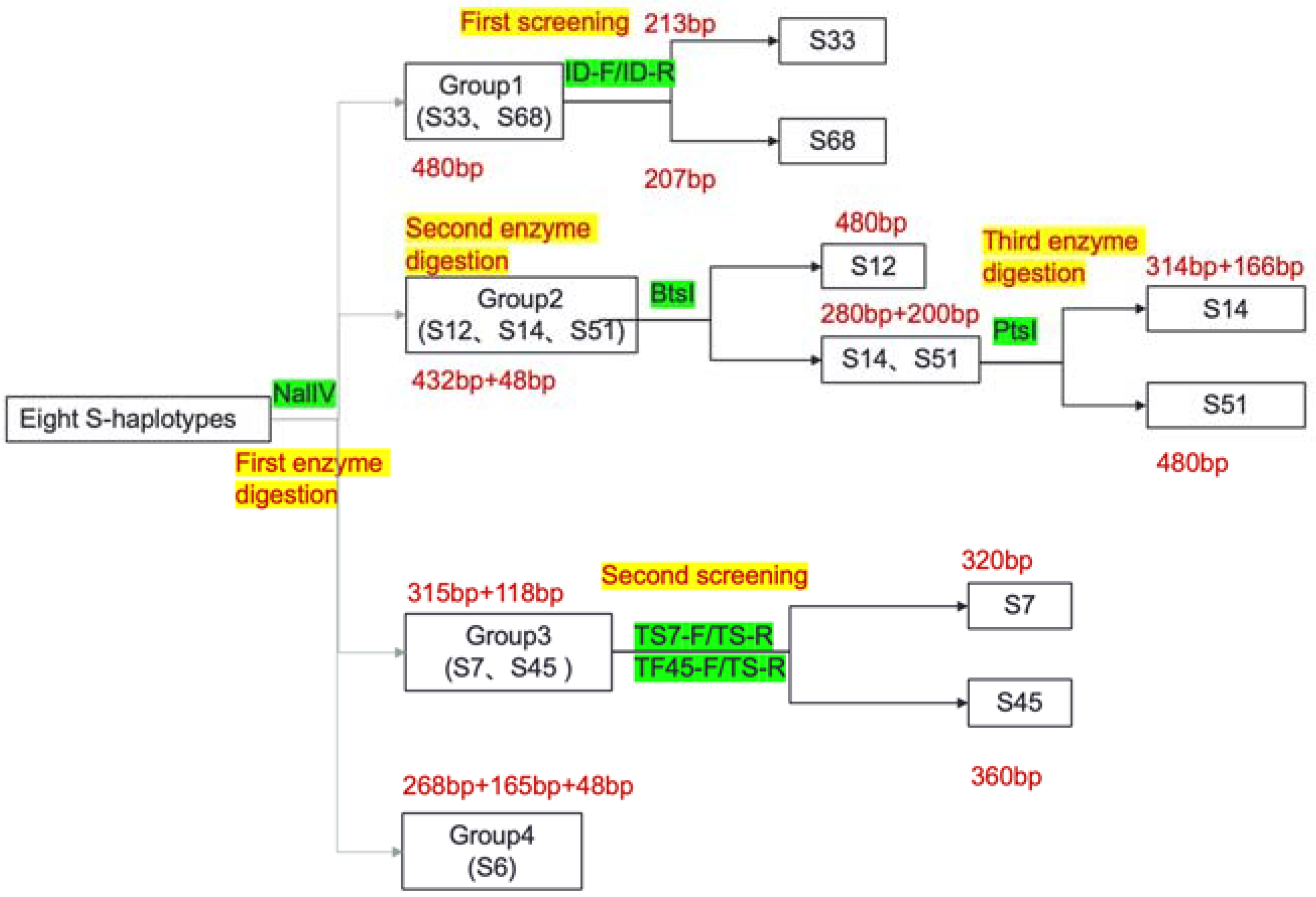 Plants 11 01372 g011