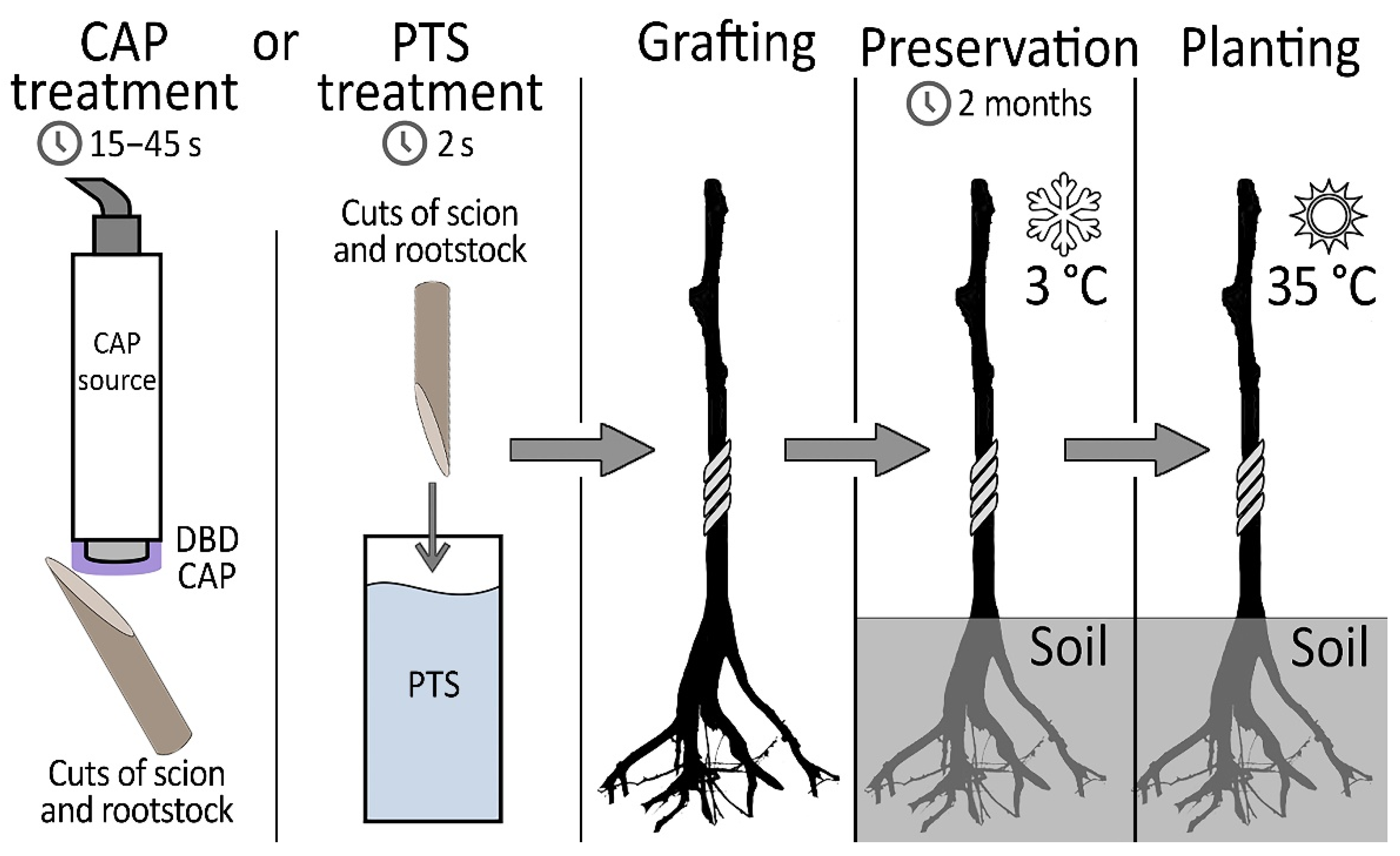 Plants 11 01373 g001