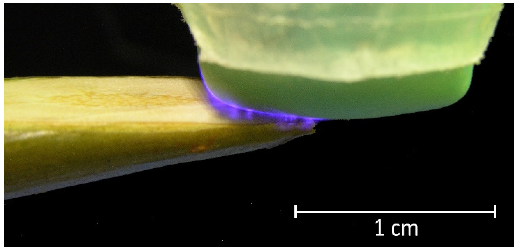 Plants 11 01373 g003