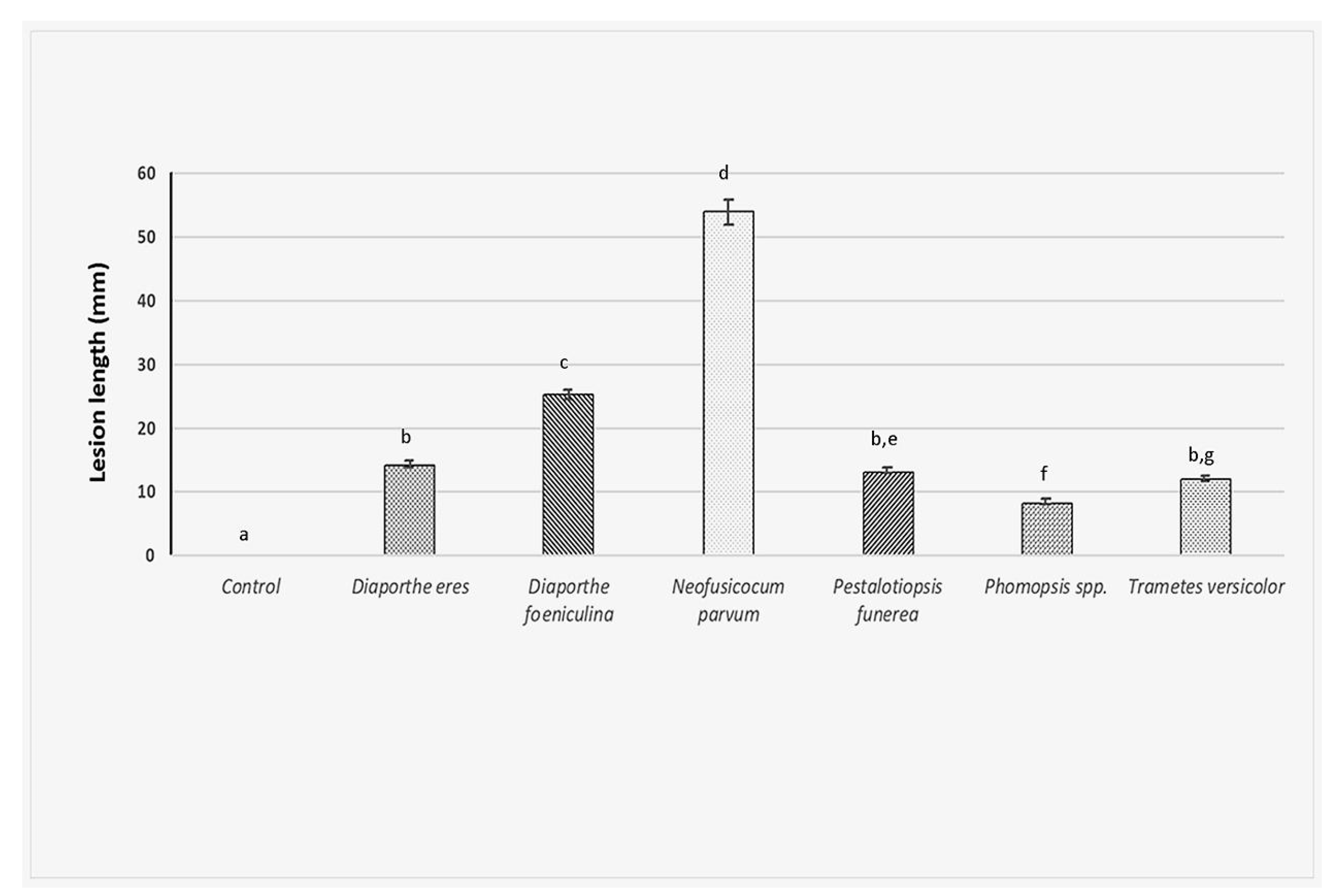 Plants 11 01374 g005 Plants 11 01374 g005
