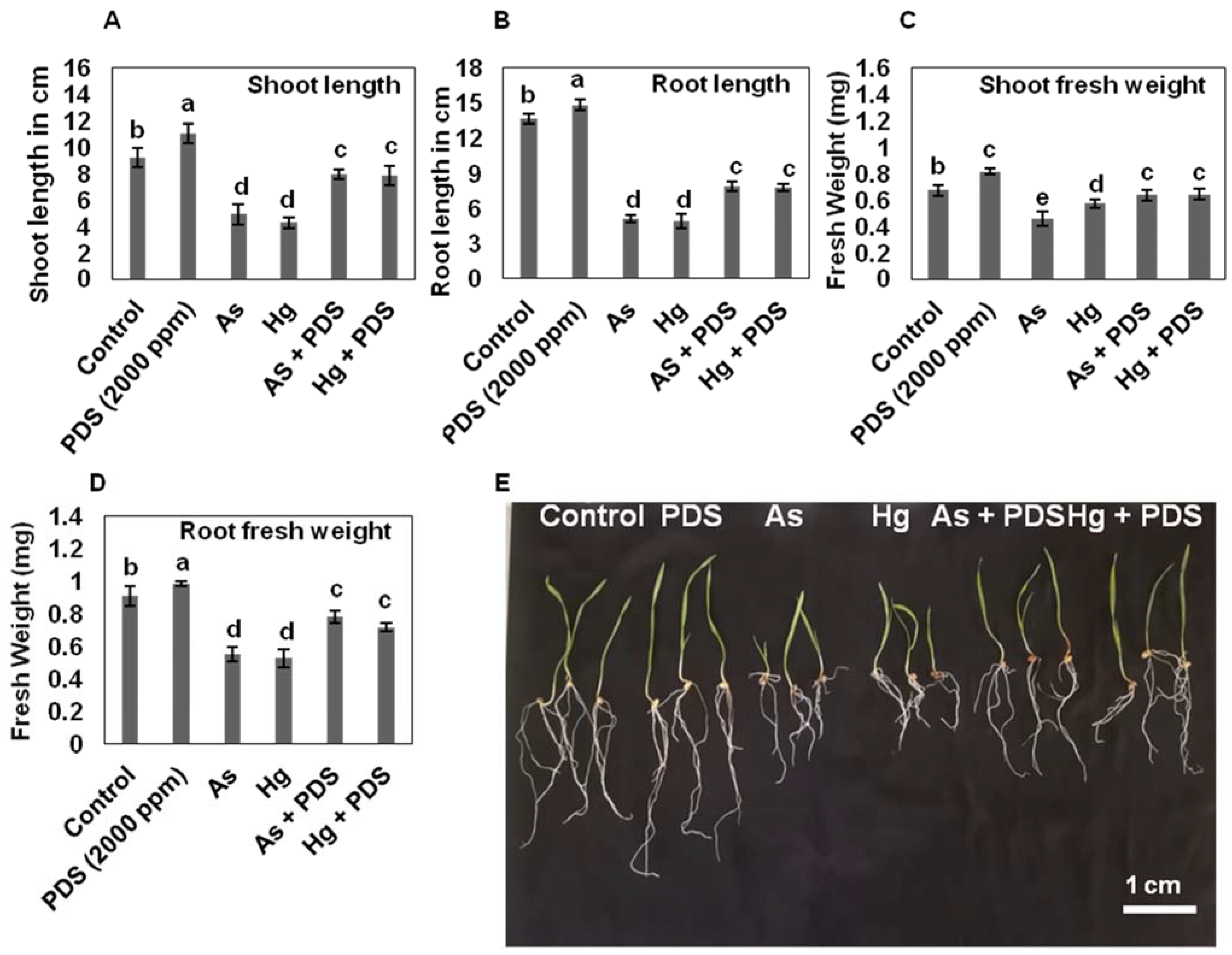 Plants 11 01379 g002 Plants 11 01379 g002