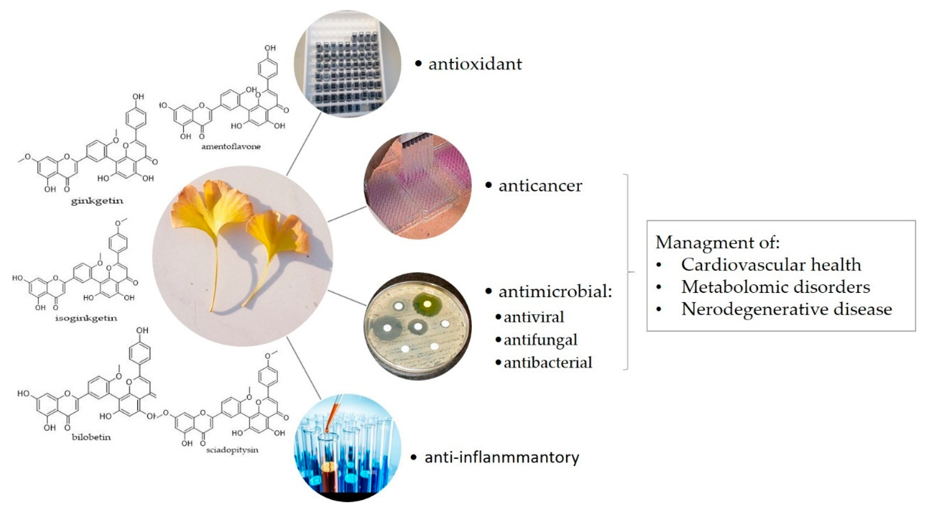 Plants 11 01381 g003