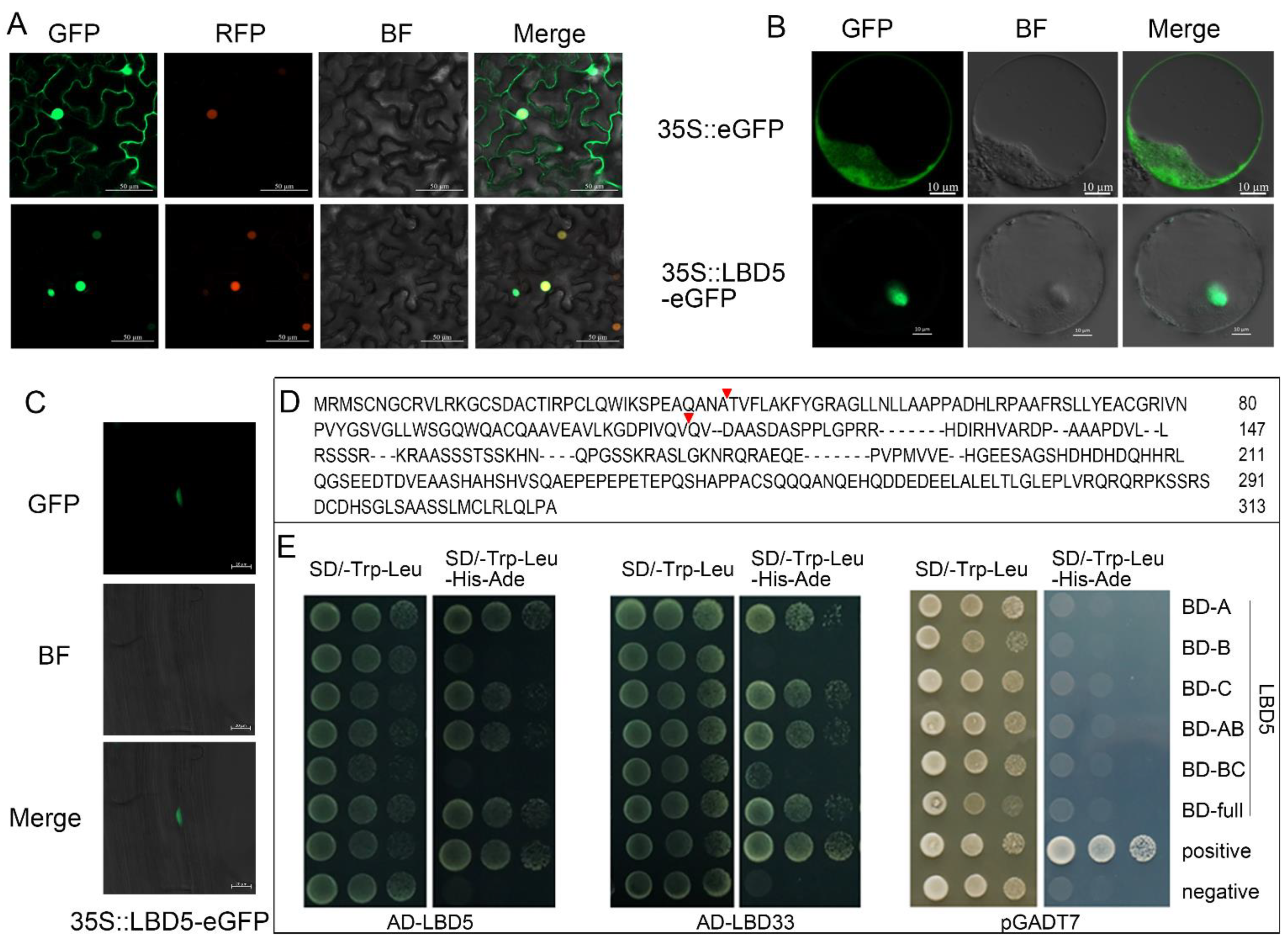 Plants 11 01382 g002 Plants 11 01382 g002