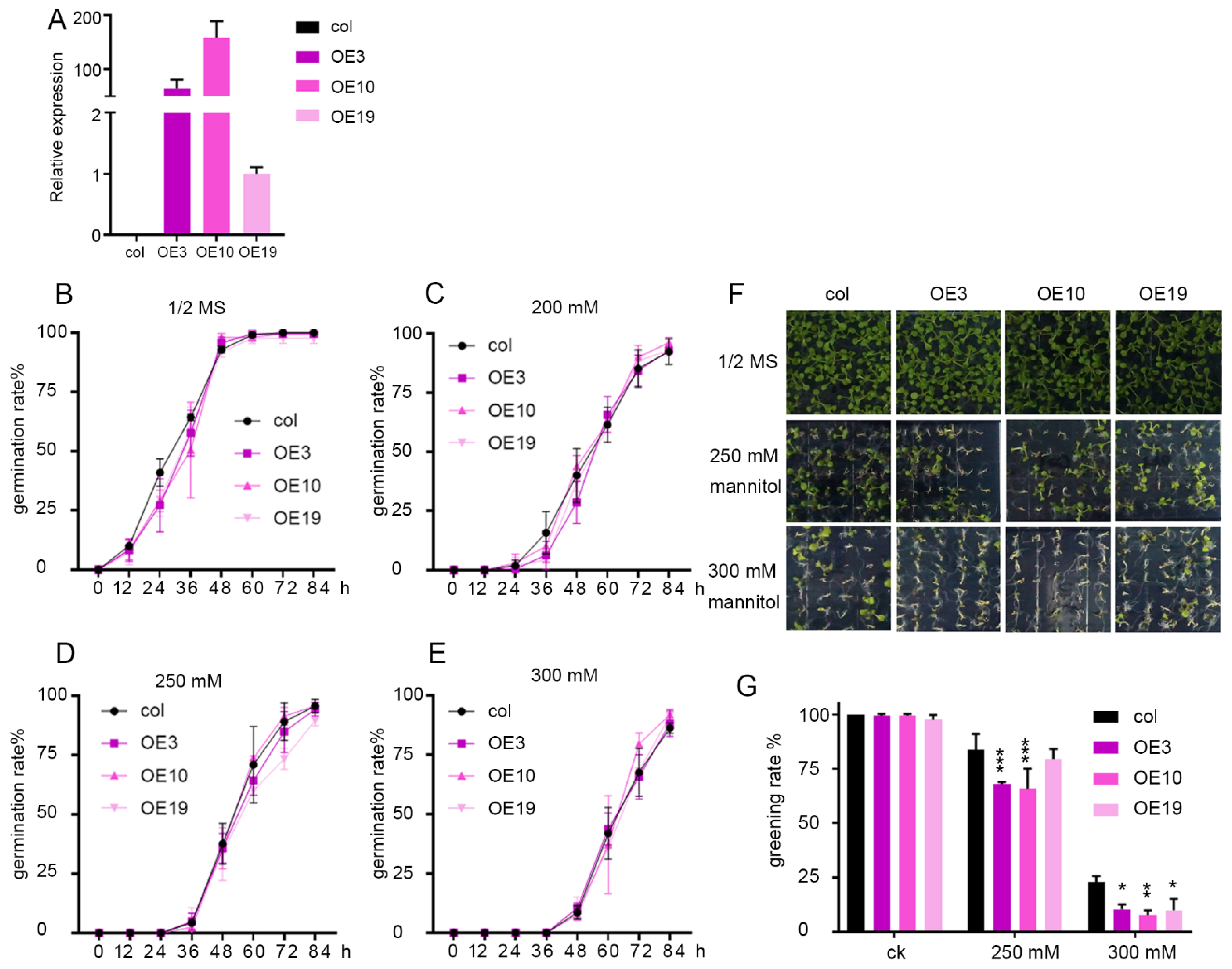 Plants 11 01382 g003 Plants 11 01382 g003