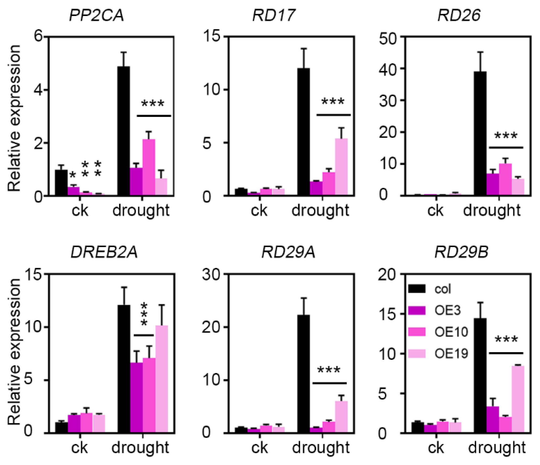 Plants 11 01382 g008 Plants 11 01382 g008