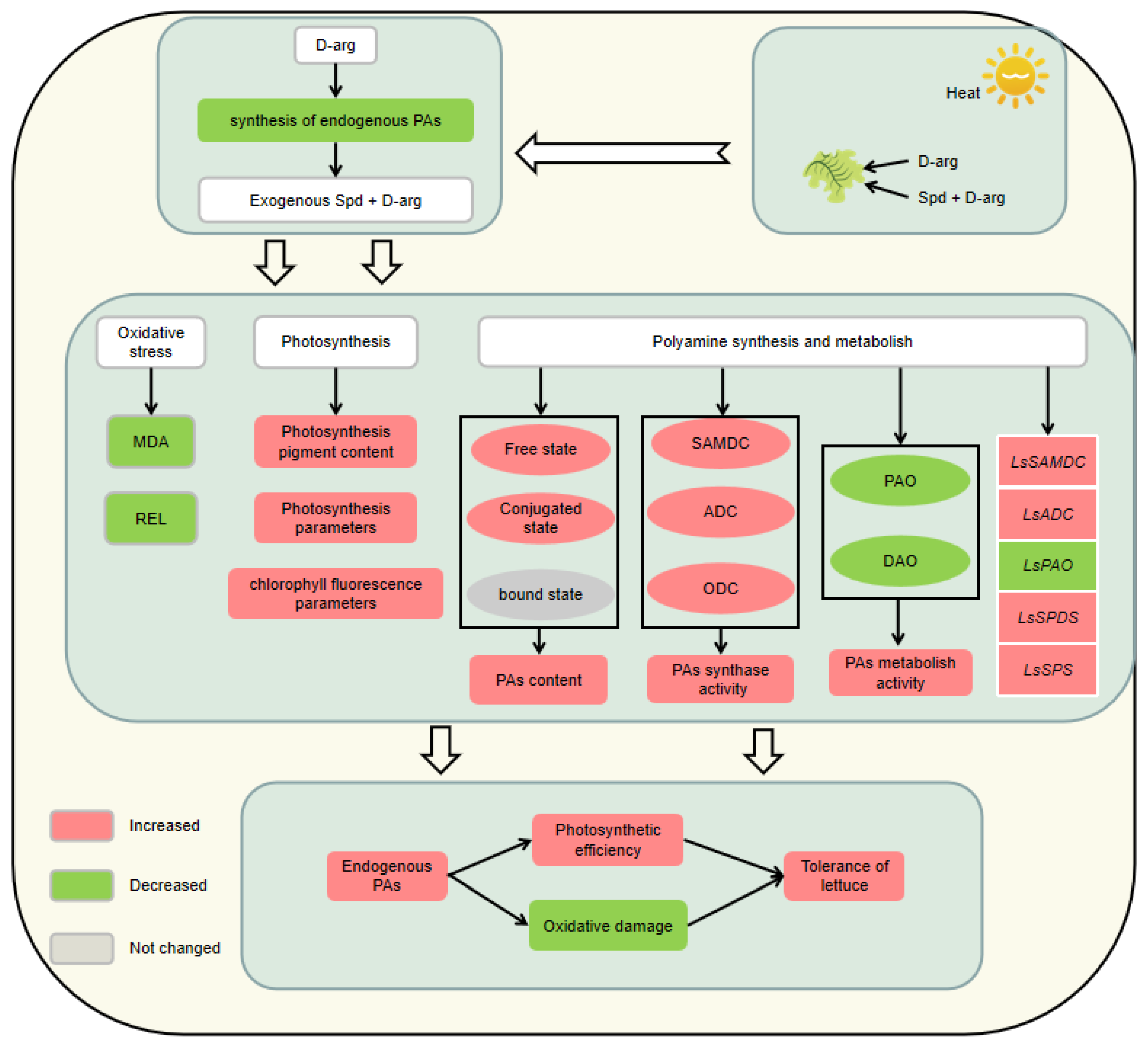 Plants 11 01385 g009