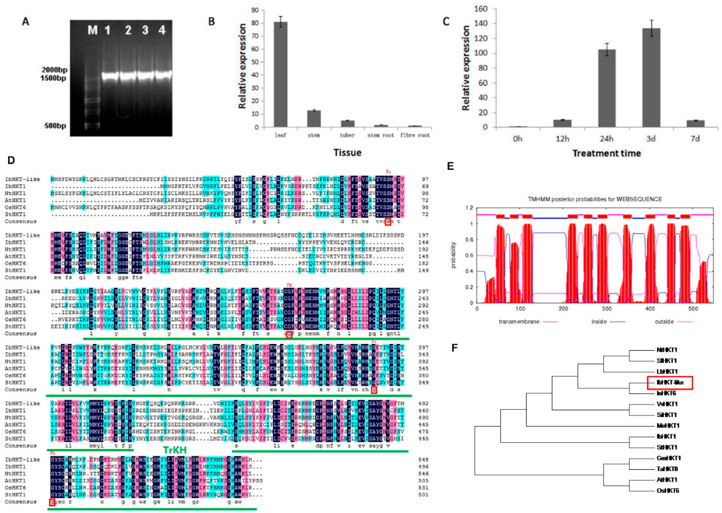 Plants 11 01389 g001