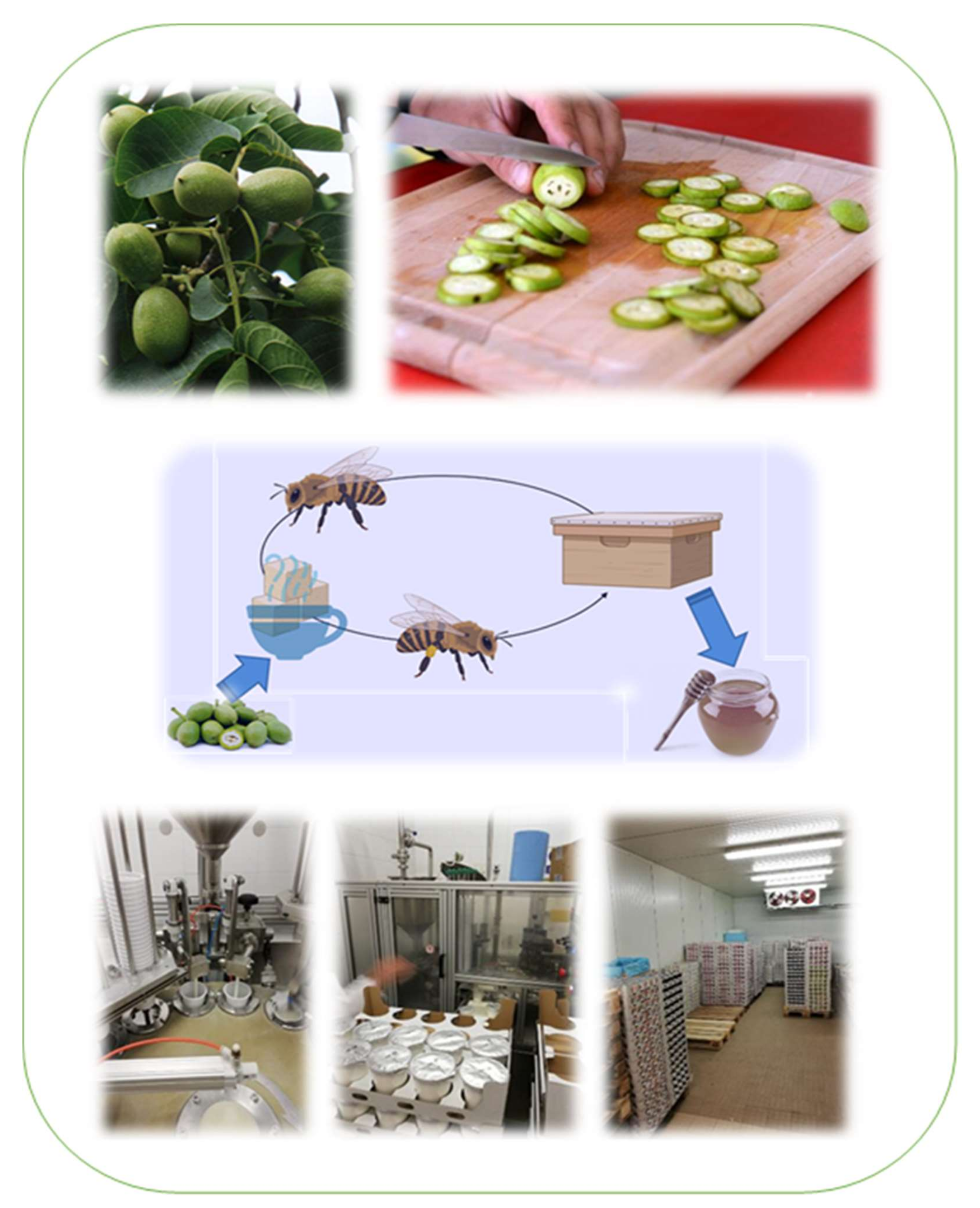 Plants 11 01391 g004 550