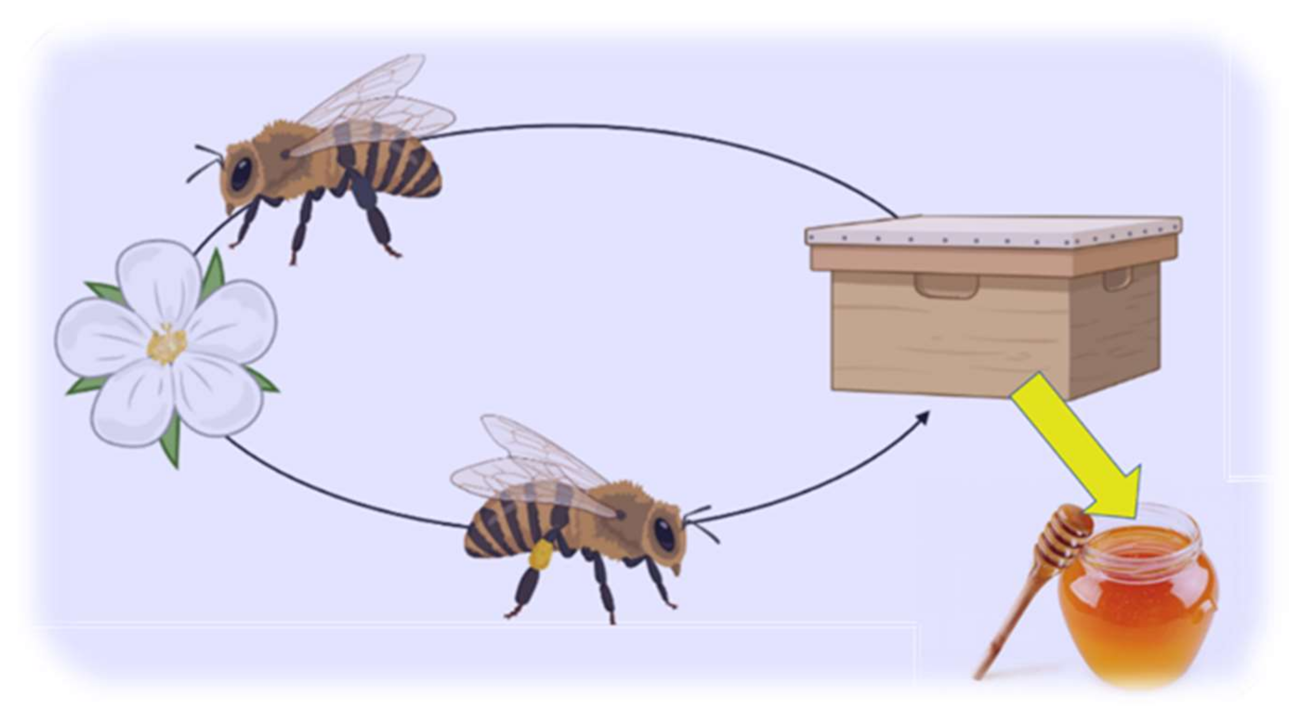 Plants 11 01391 g005 550