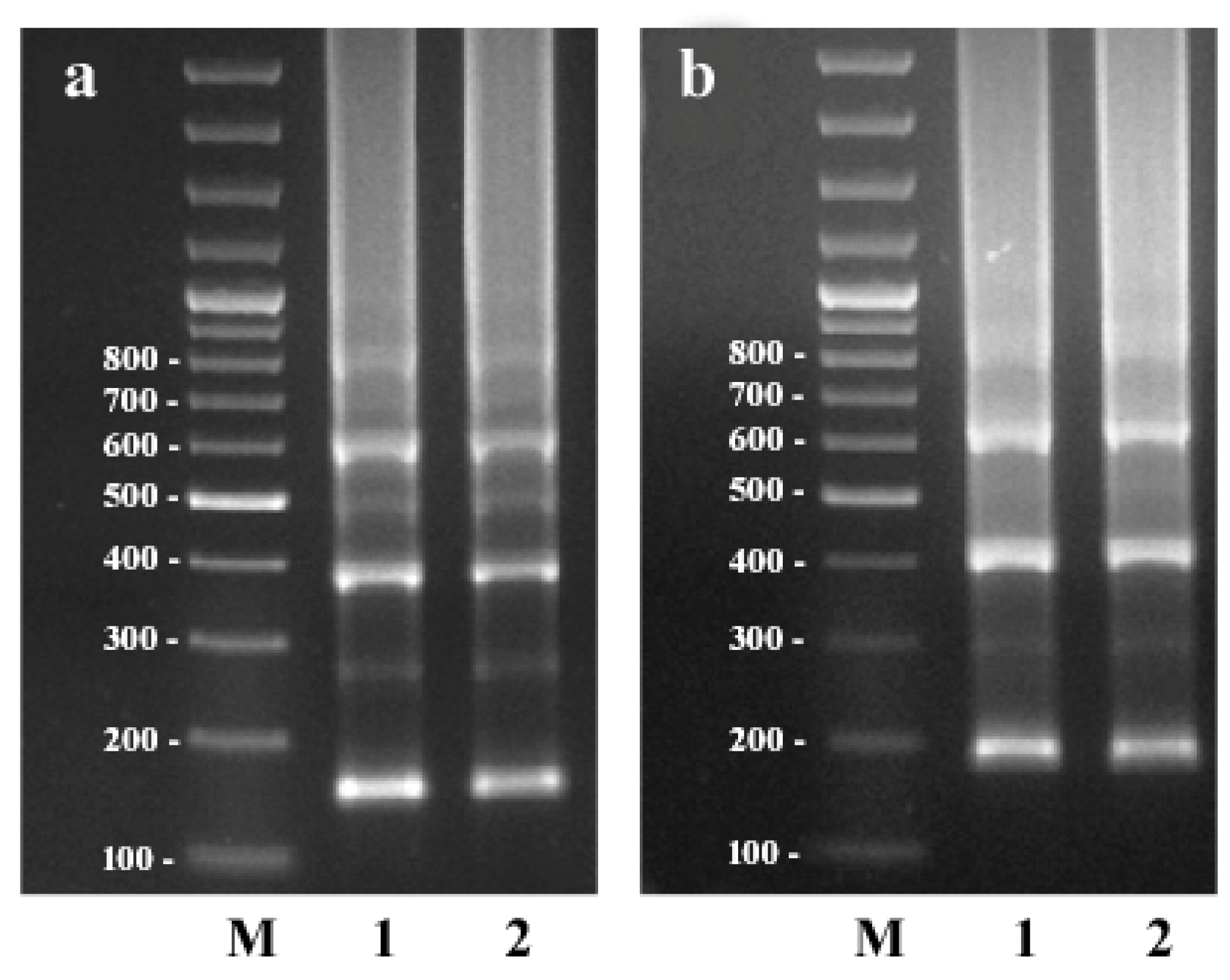 Plants 11 01396 g002