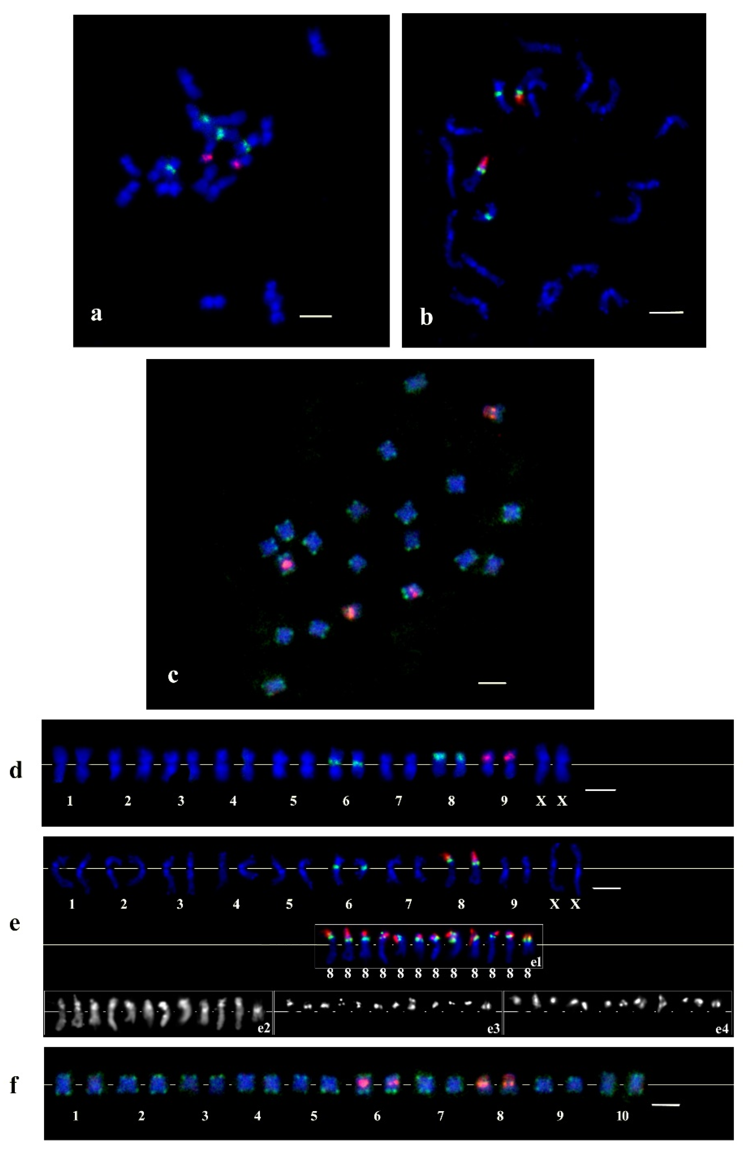 Plants 11 01396 g003