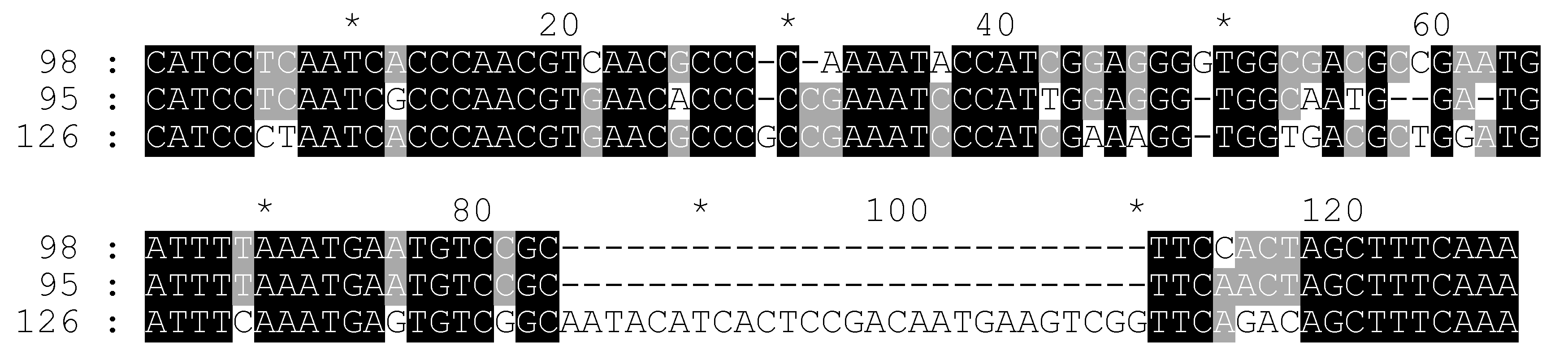Plants 11 01396 g006