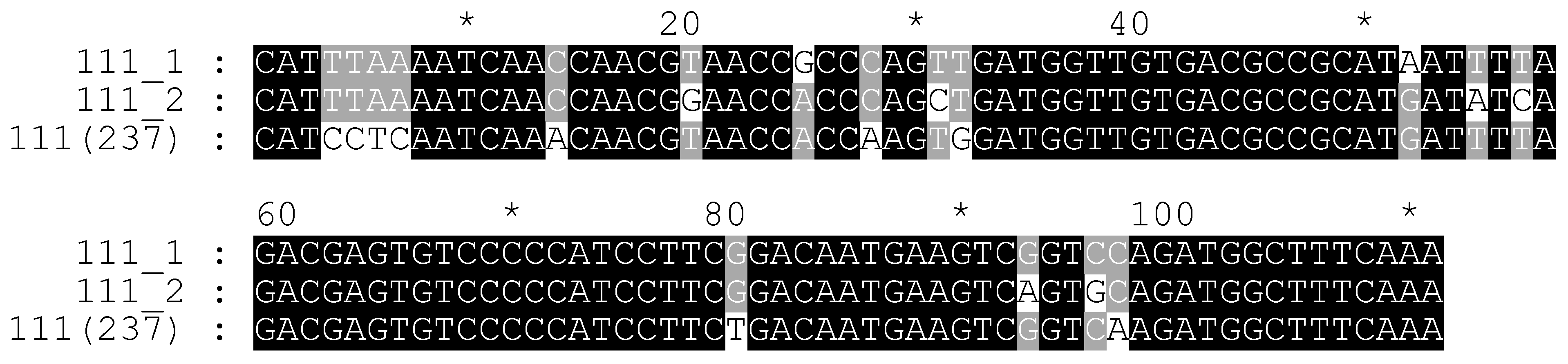Plants 11 01396 g007
